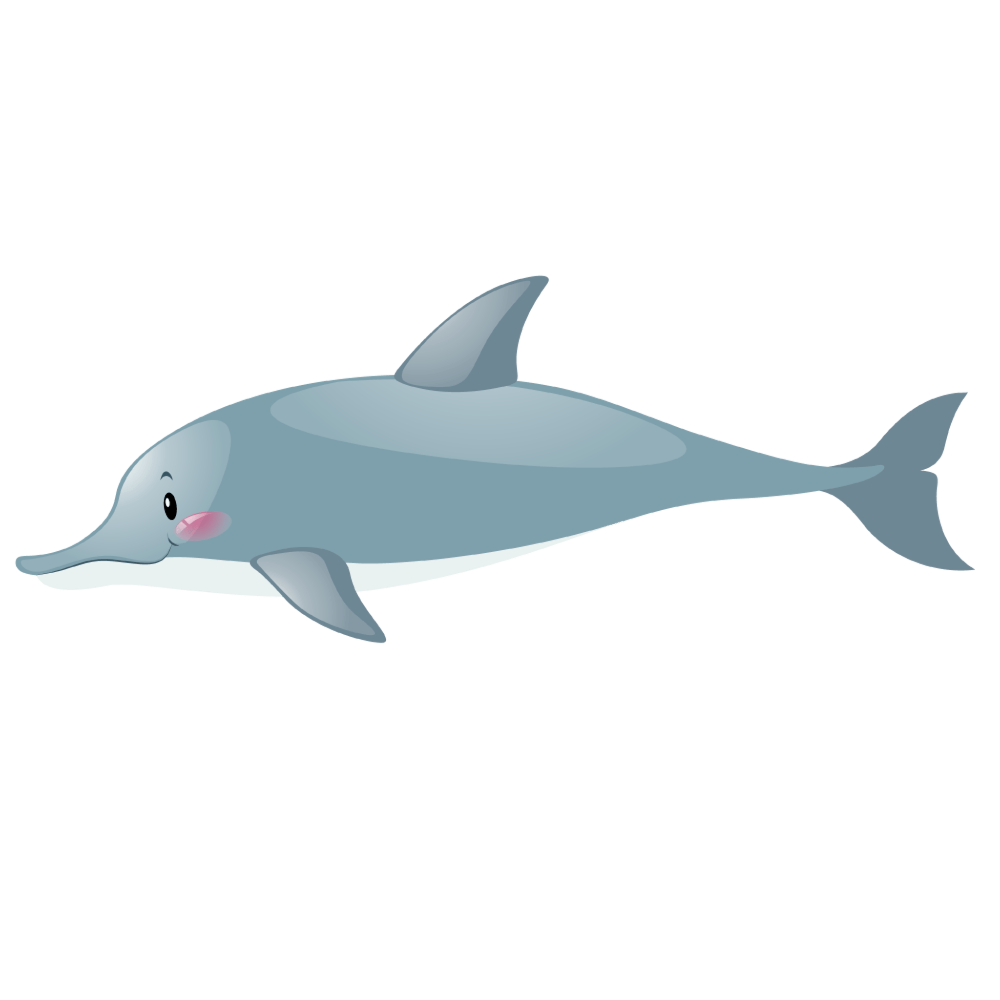 Dolphin 3