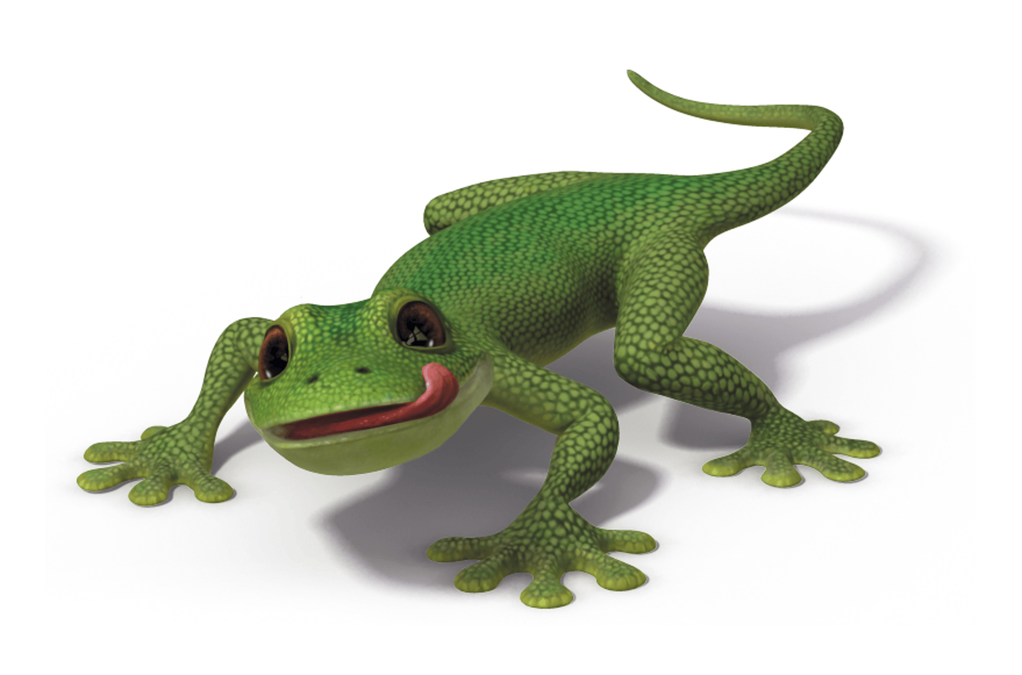 gecko.jpg