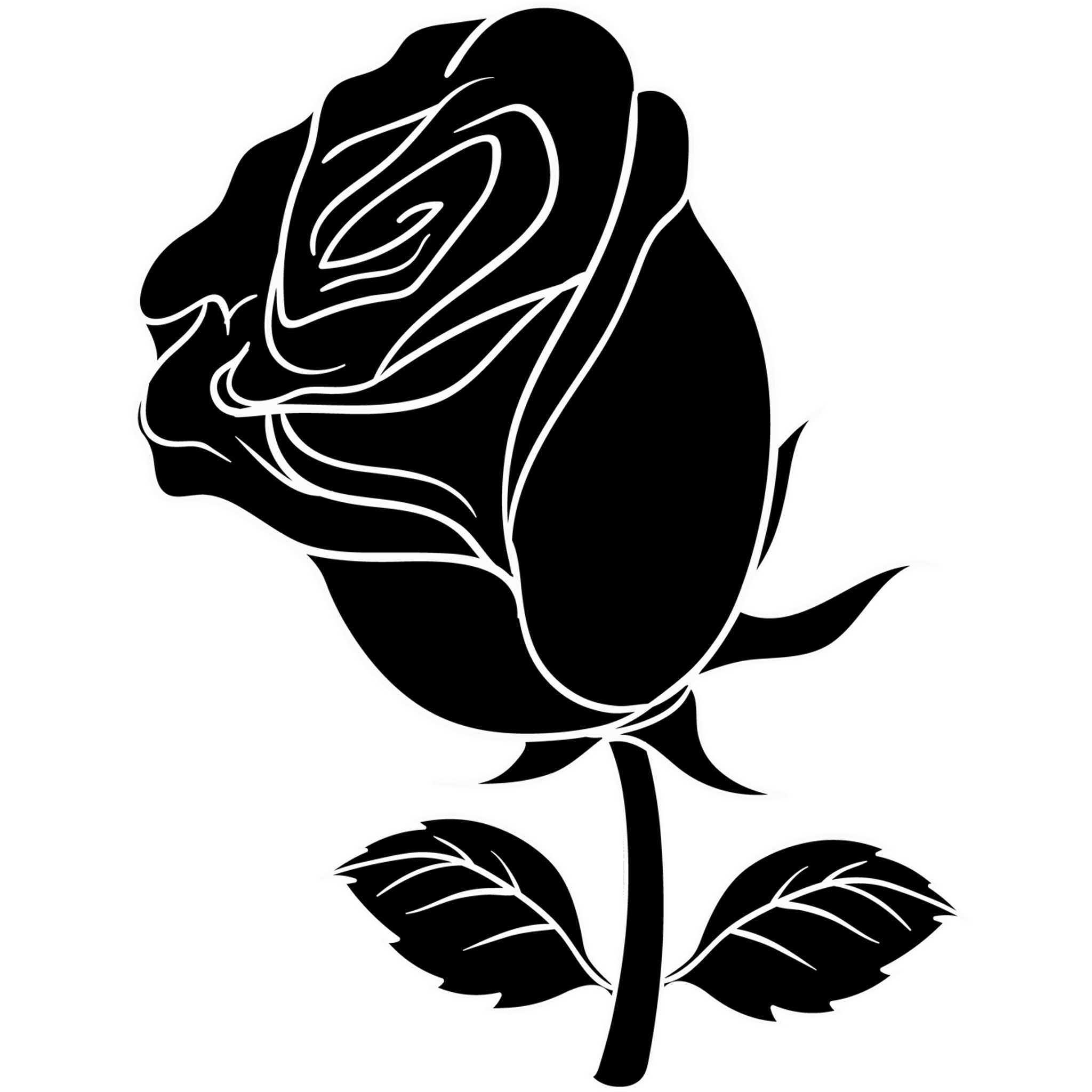 Black Rose Flower Stem