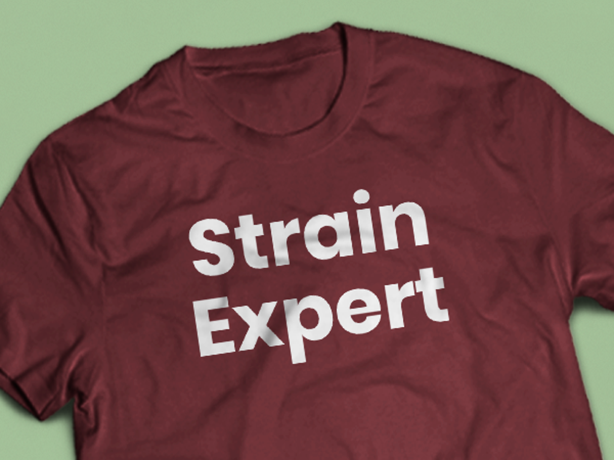 Iron-On Lettering Transfers