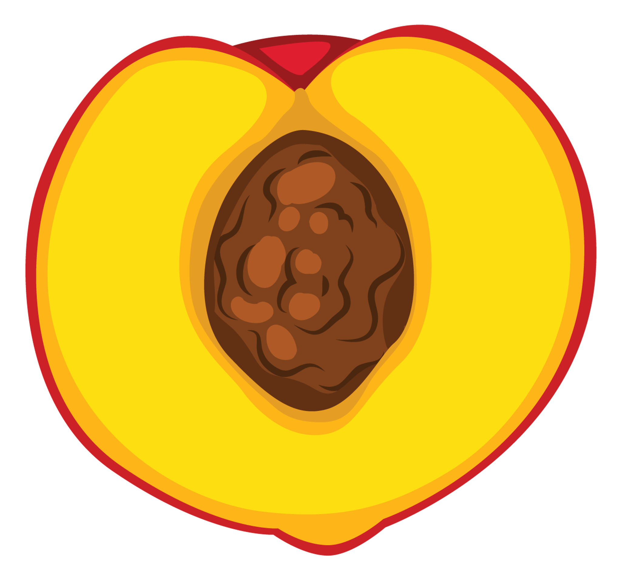 Peach Slice