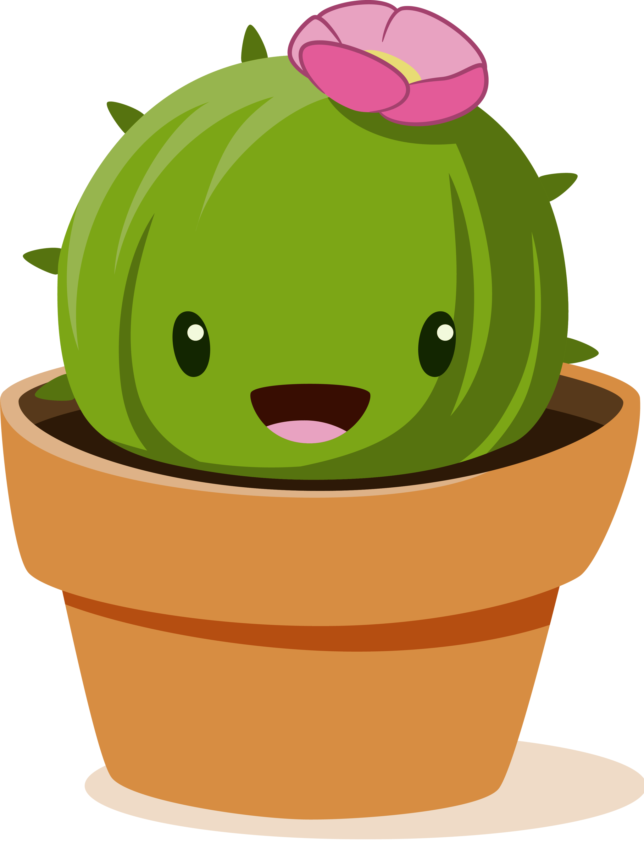 Cactus with Flower
