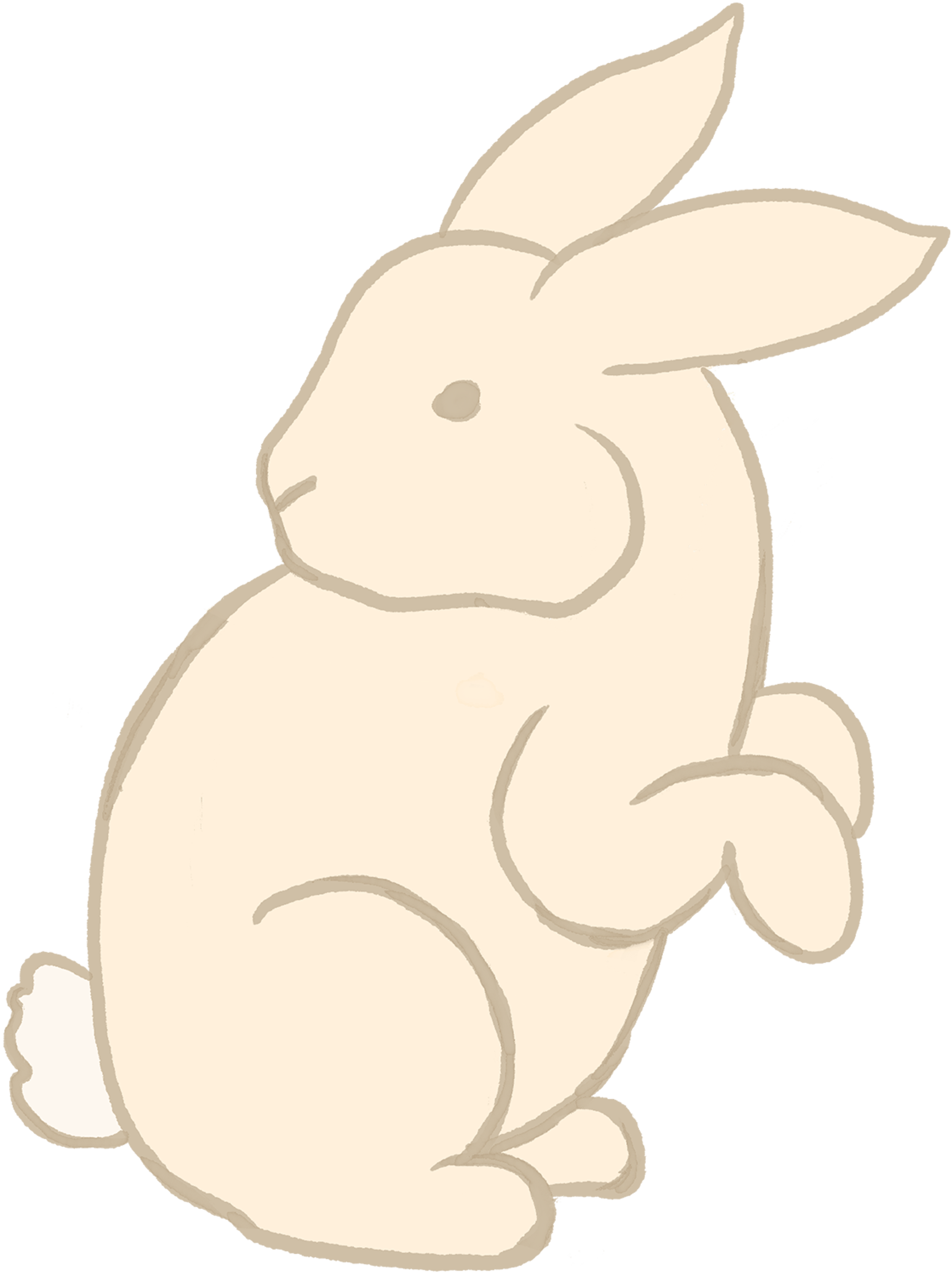 Rabbit Doodle