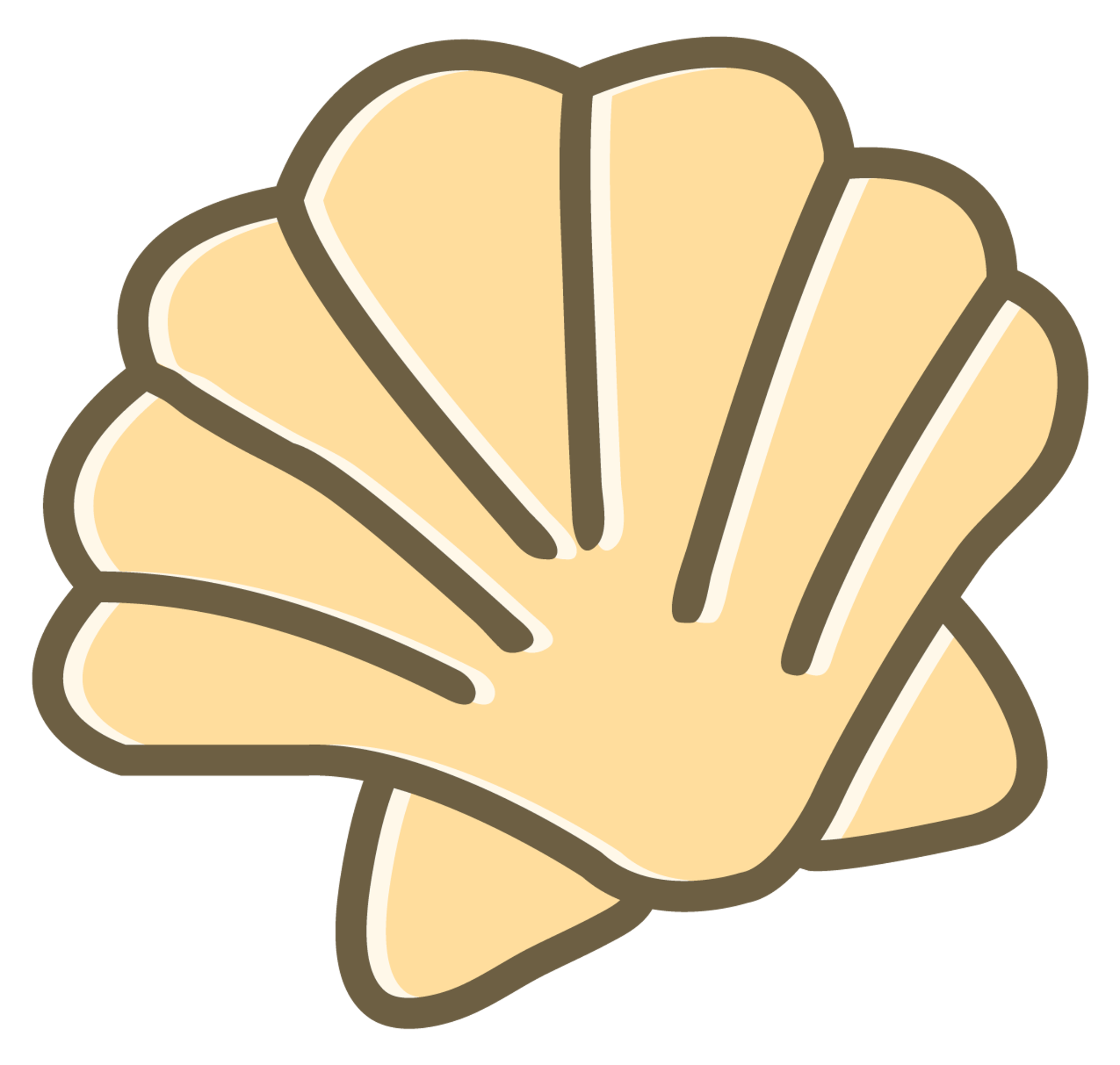 Shell 5