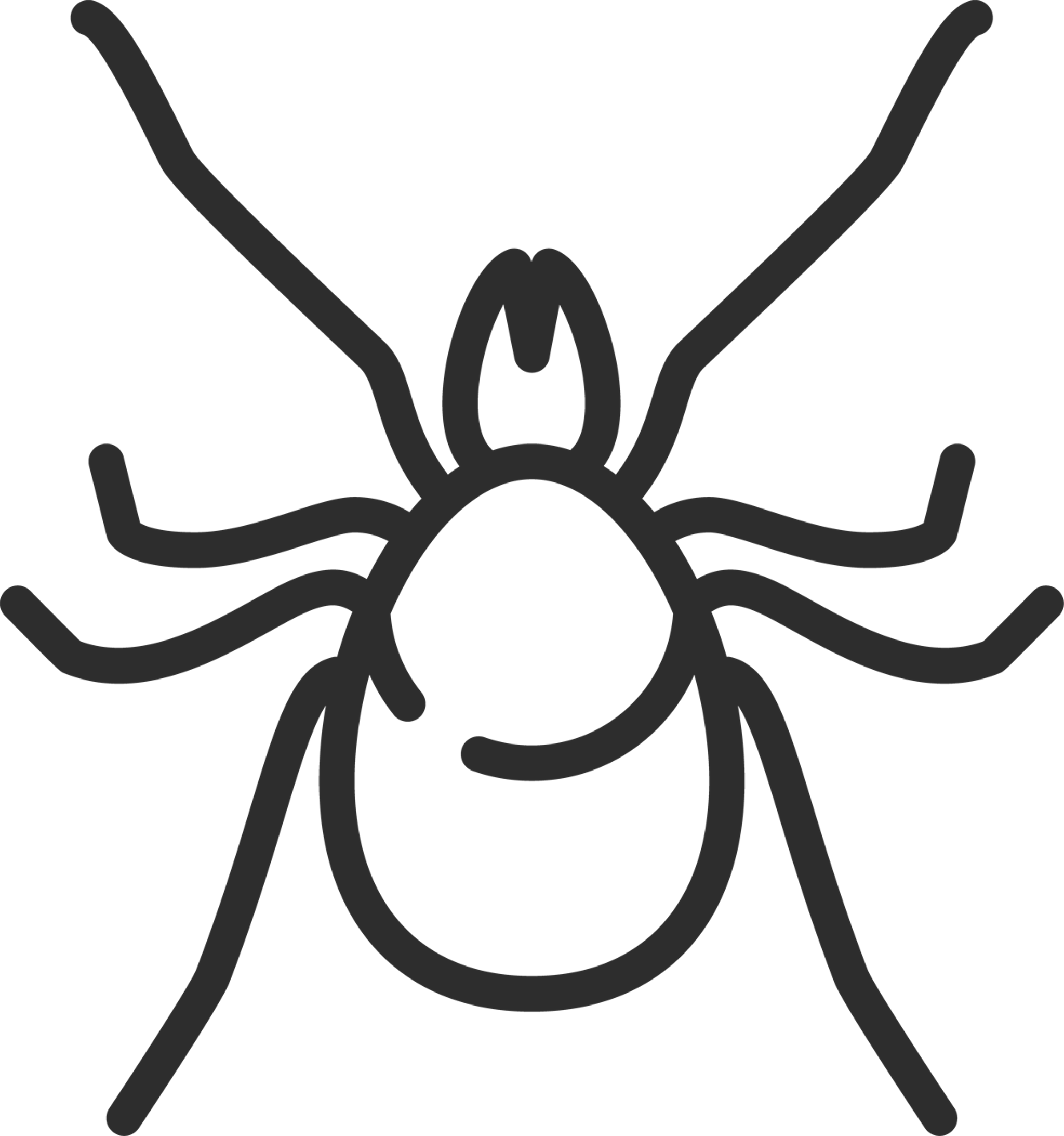 Spider Outline