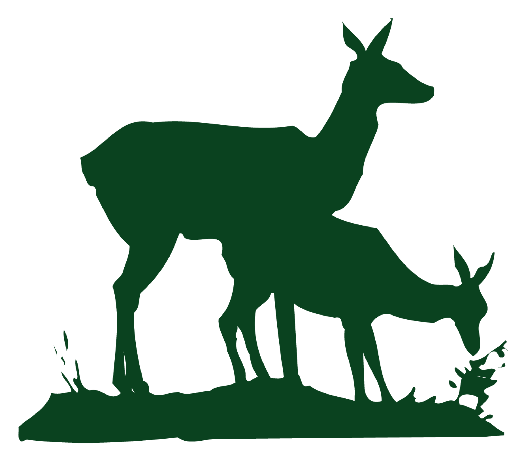 MP_2_Deers