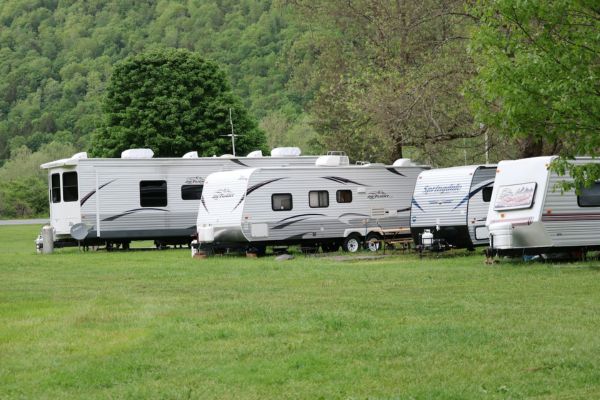 A few campers that are parked next to one another inside a beautiful green forest.