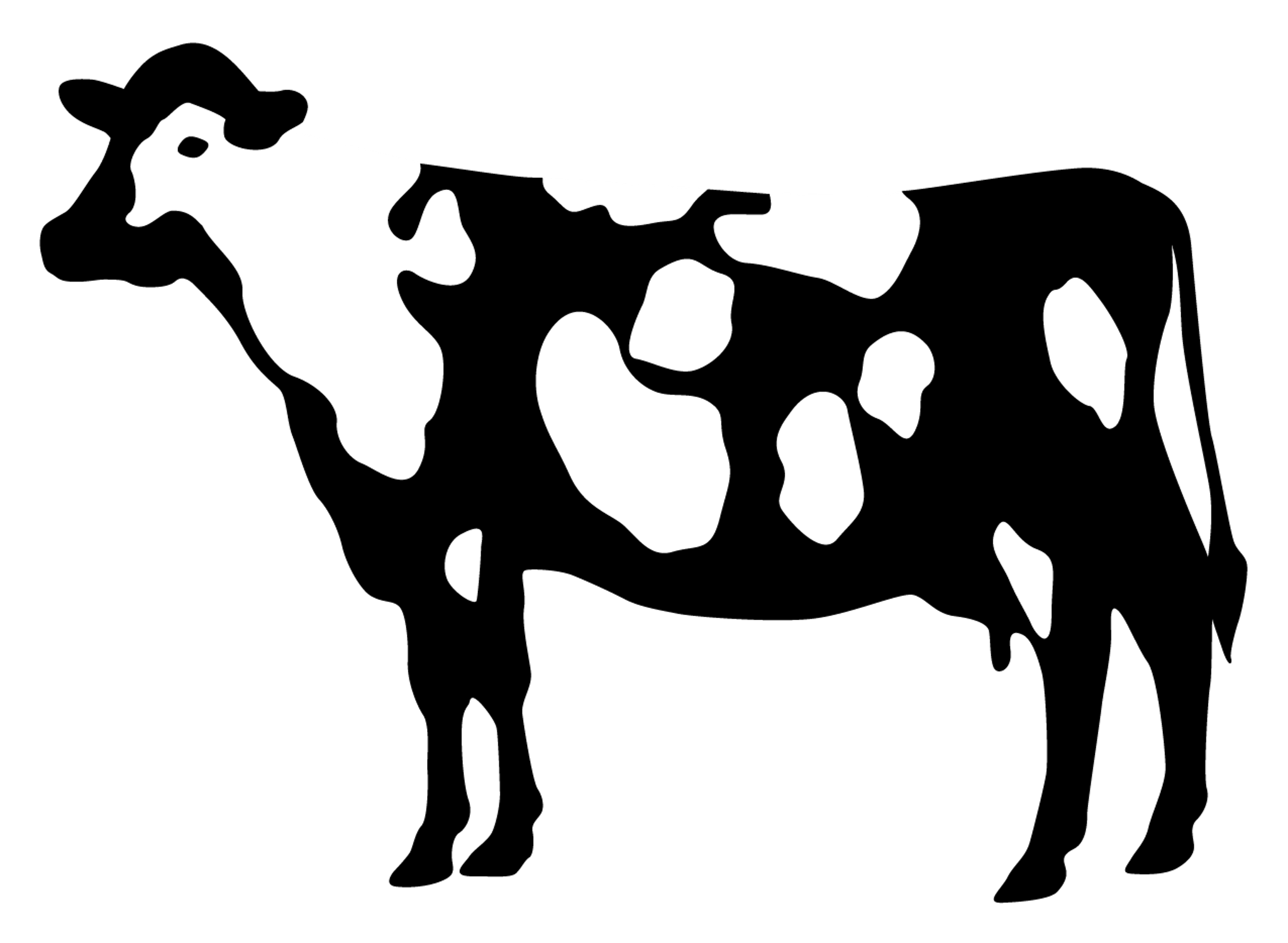 cow