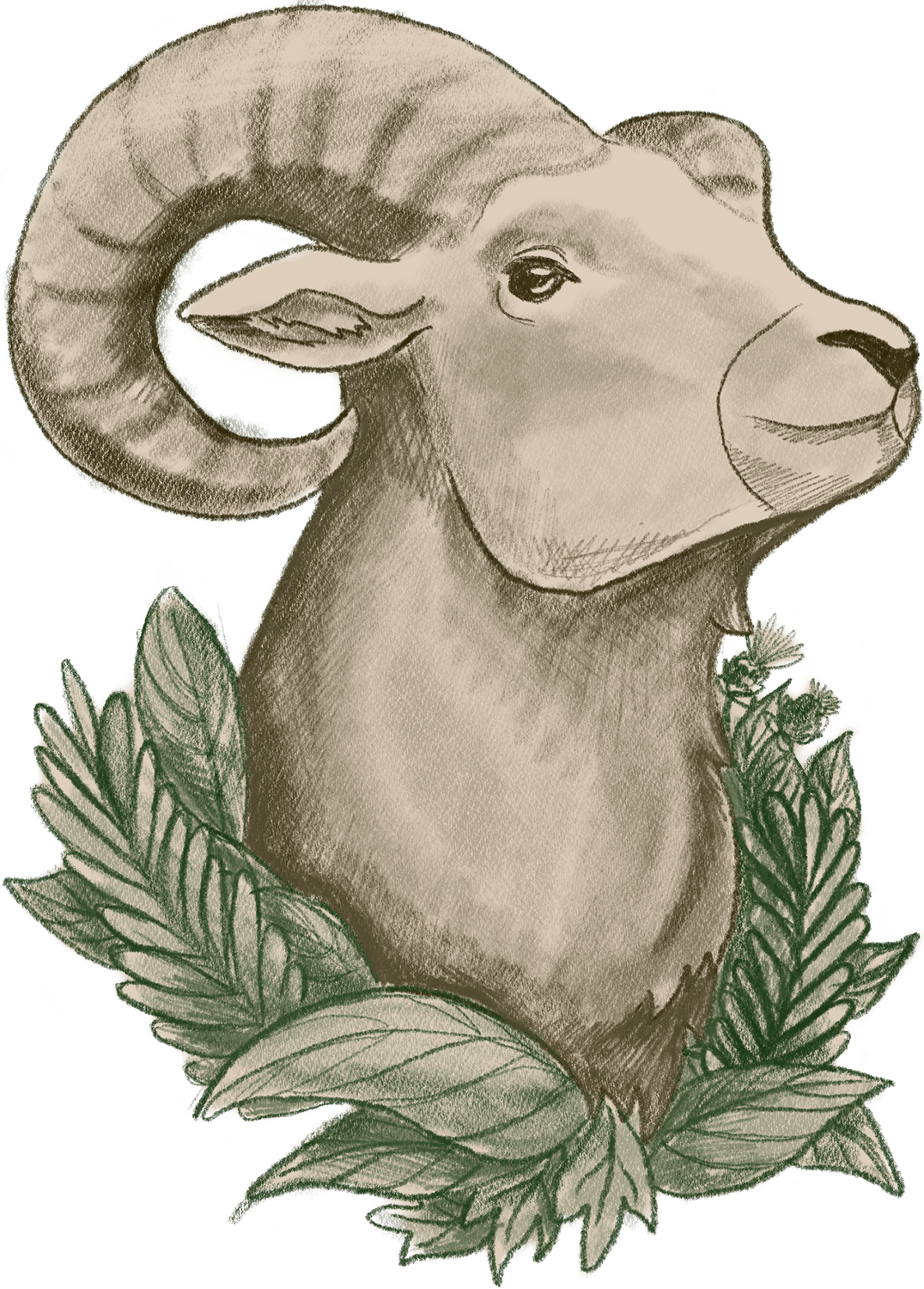 Nature Goat Head