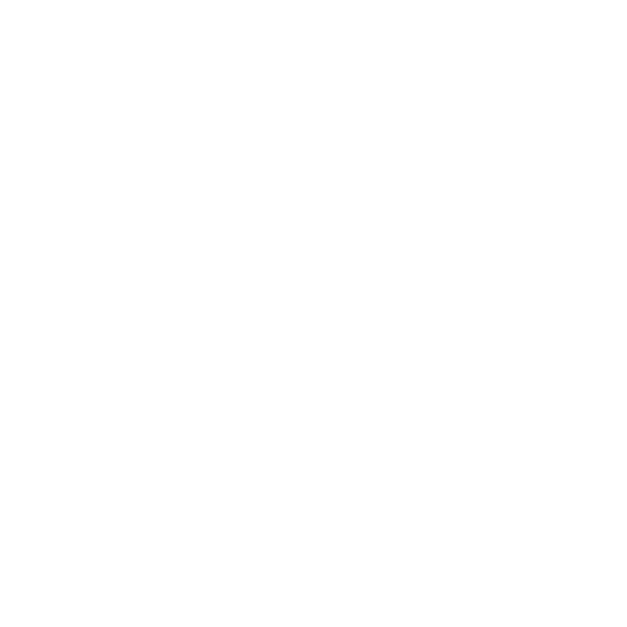Hard Hat White