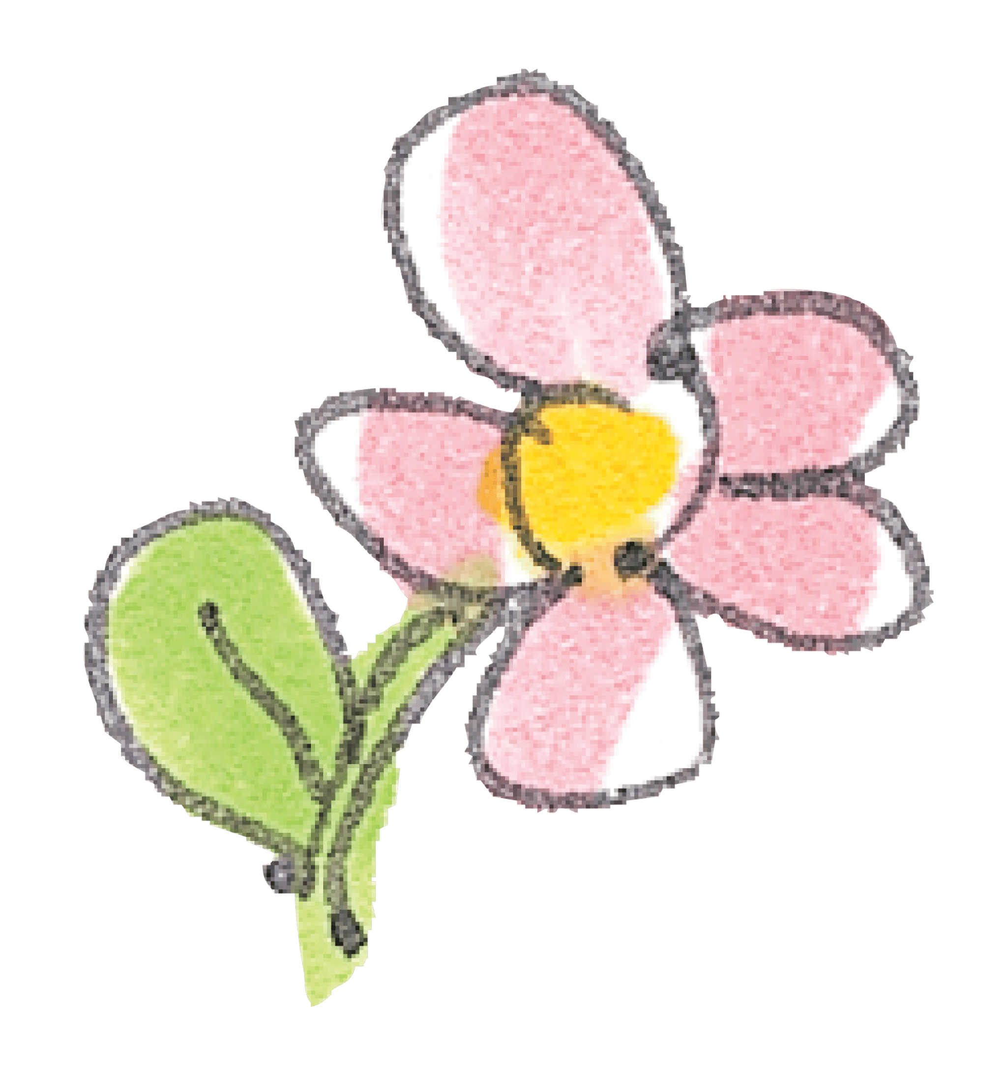 Pink Flower Sketch