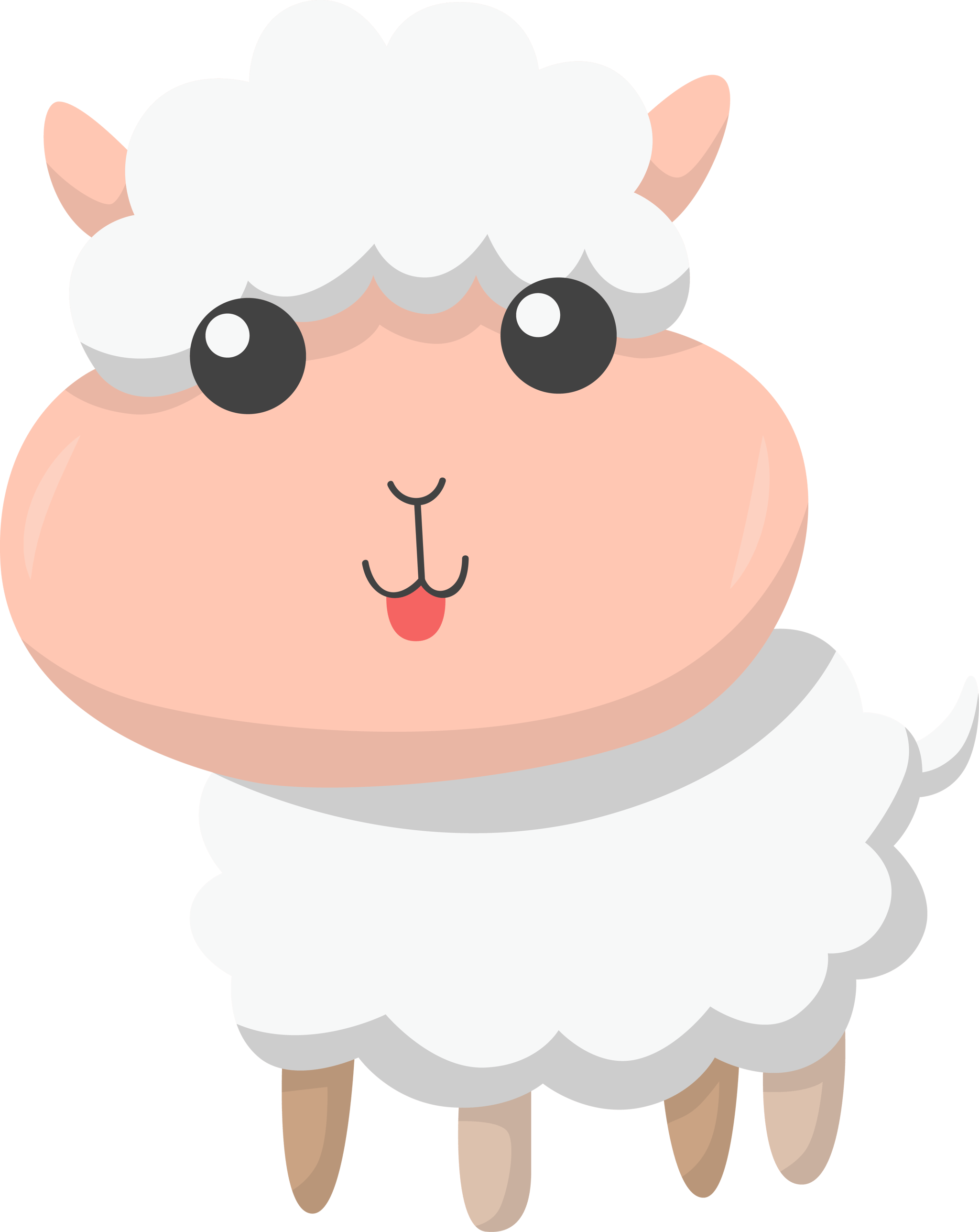 Sheep
