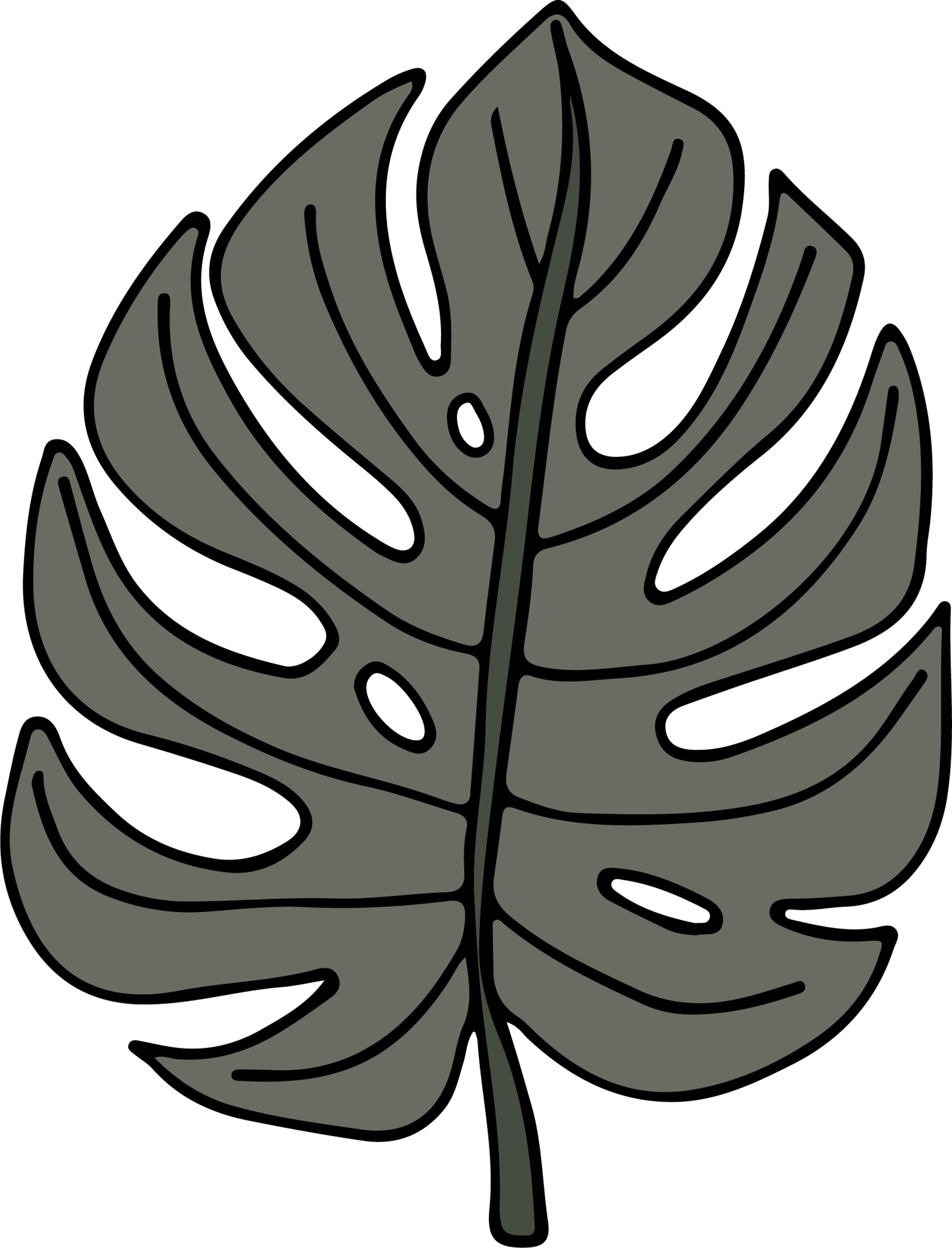 Monsterra Leaf