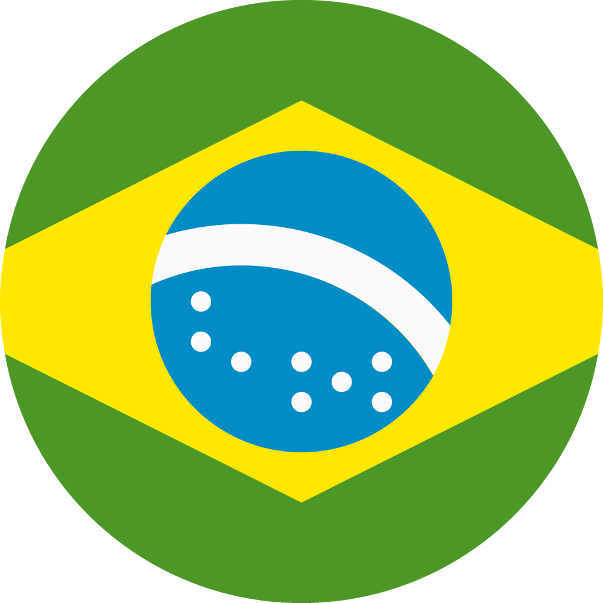 Brazil Flag