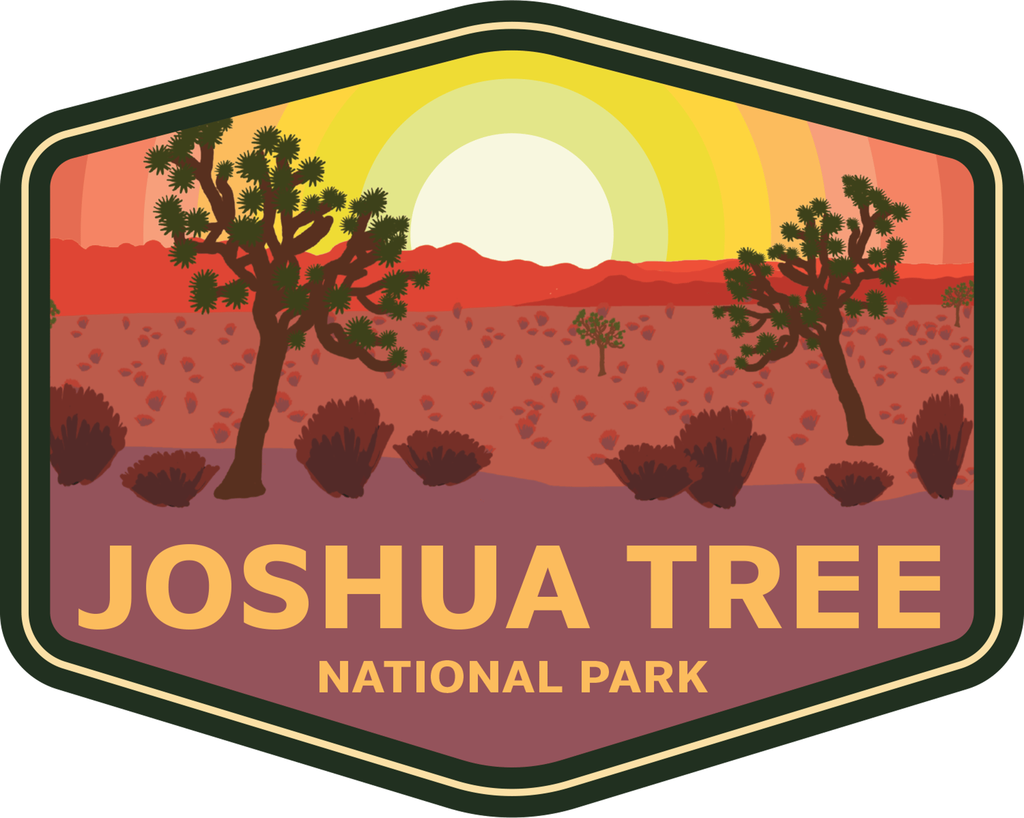 Joshua Tree Park