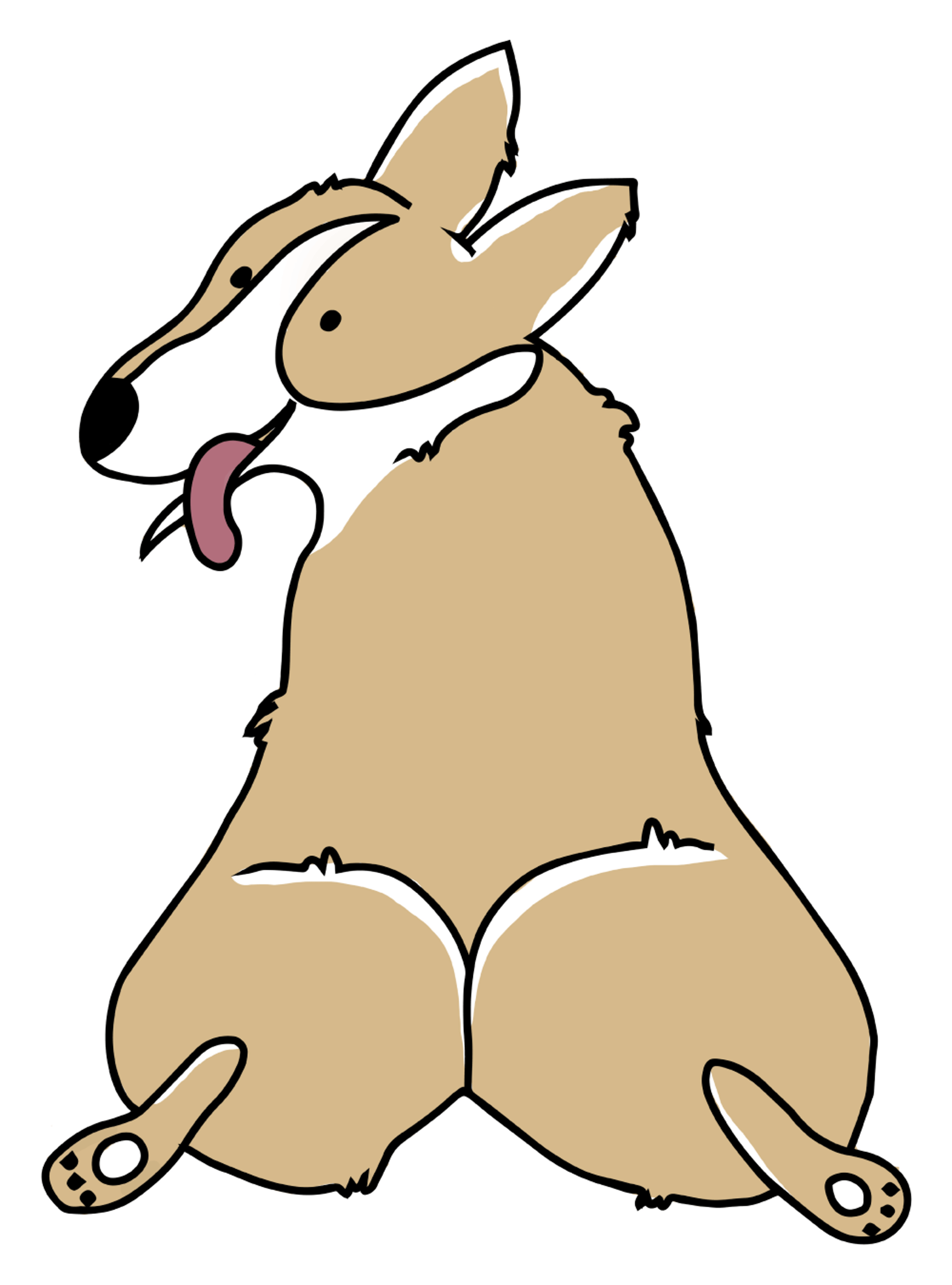 Cute Corgi 