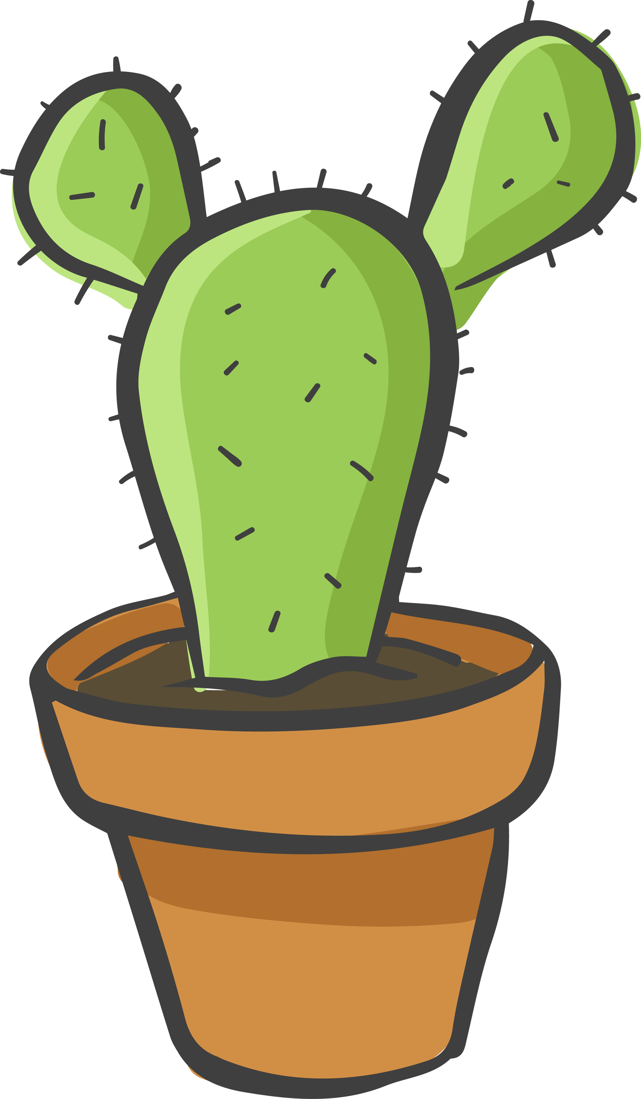 Cacti 5
