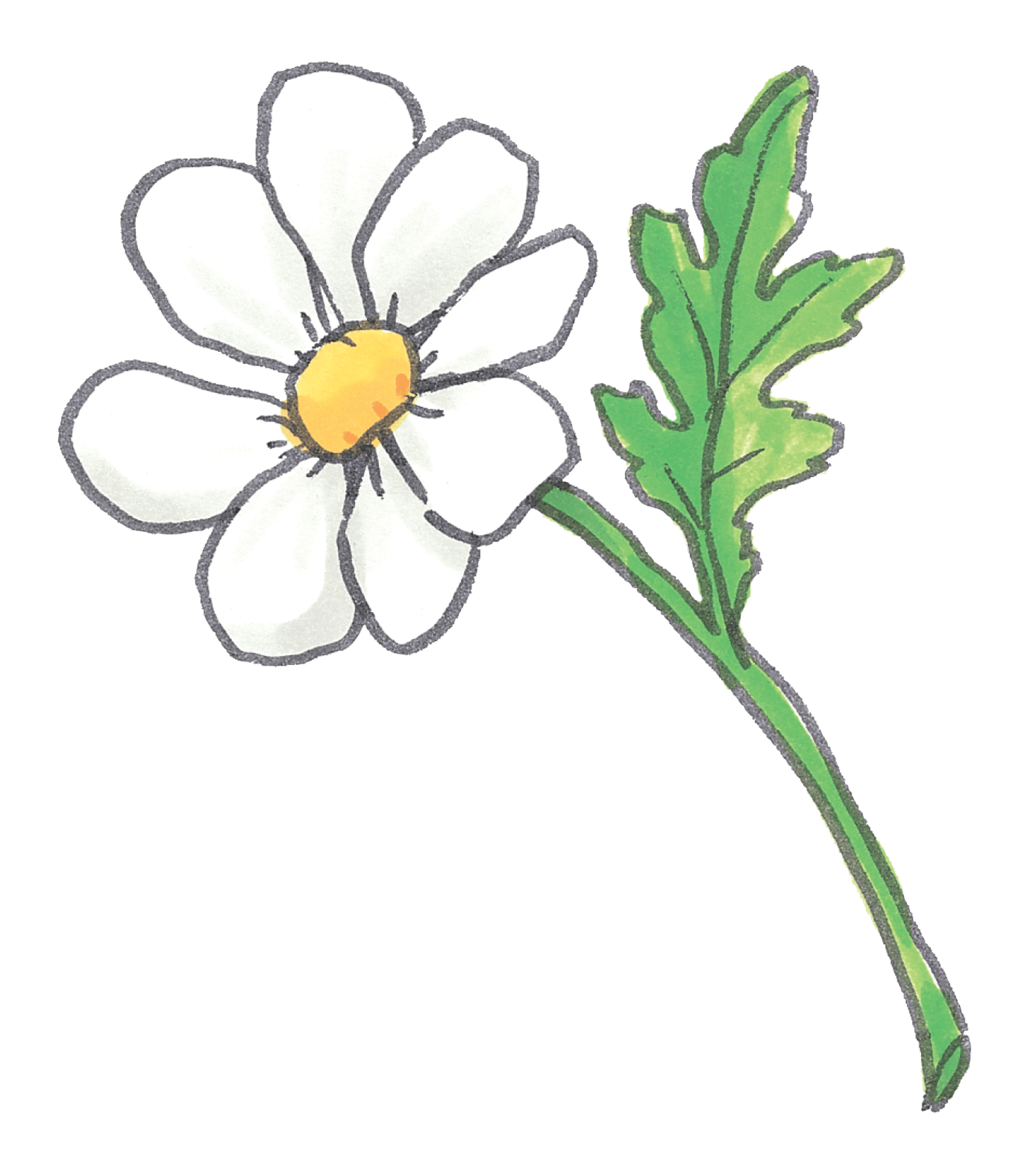 Suzy's Daisy Flower