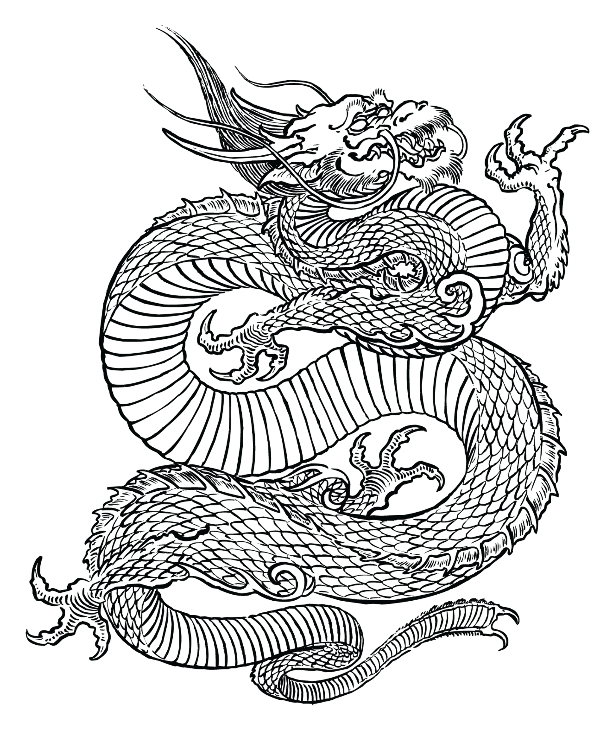 MP_dragon2