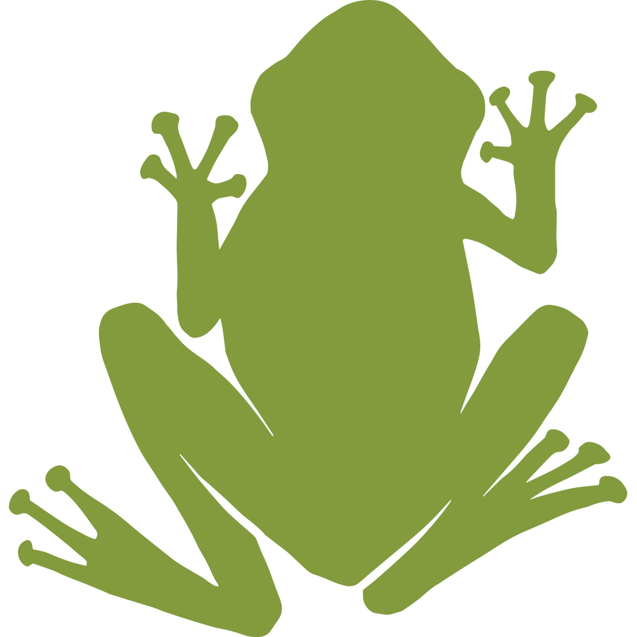 Green Frog Silhouette