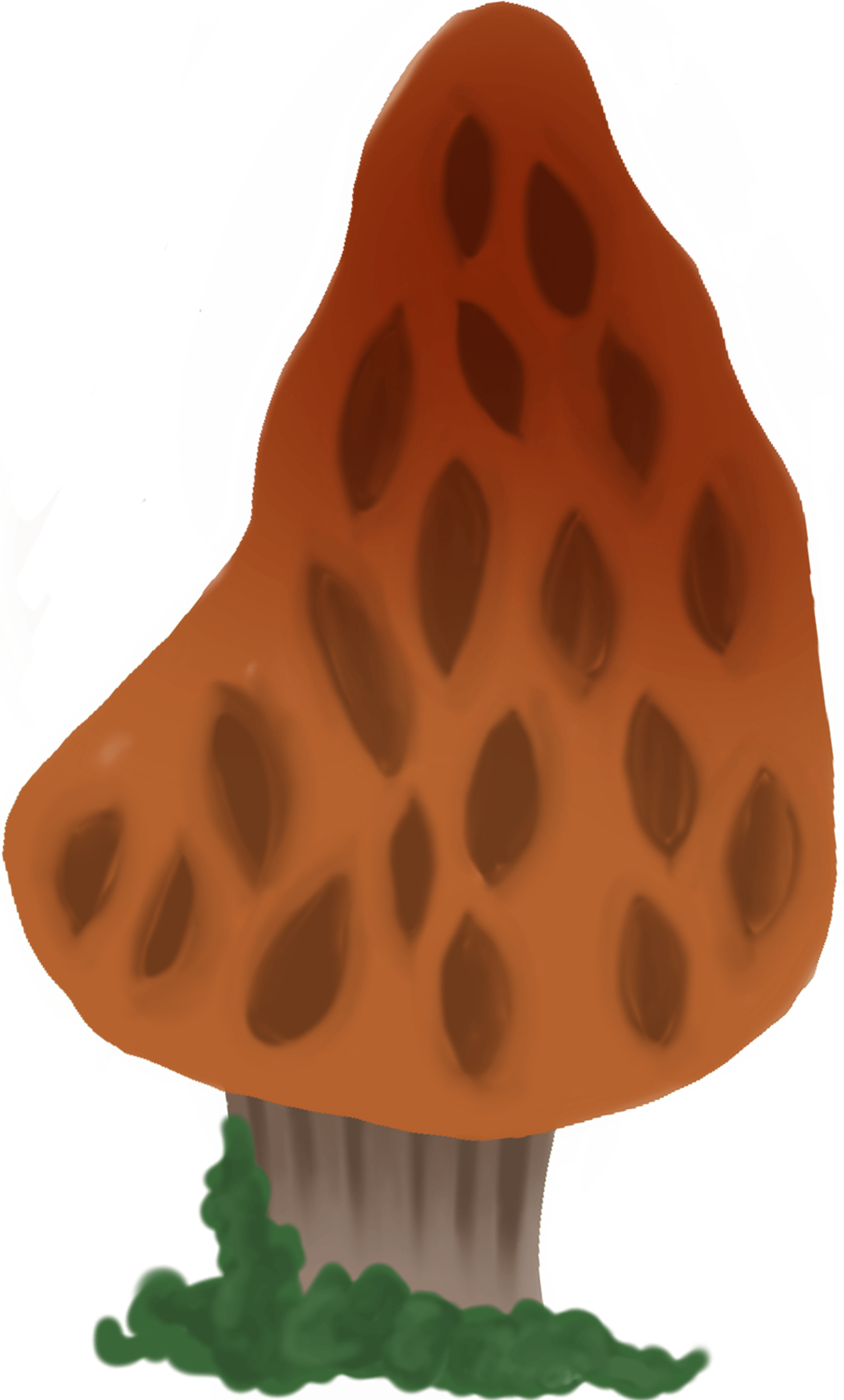 Whimsical Morel Mushroom