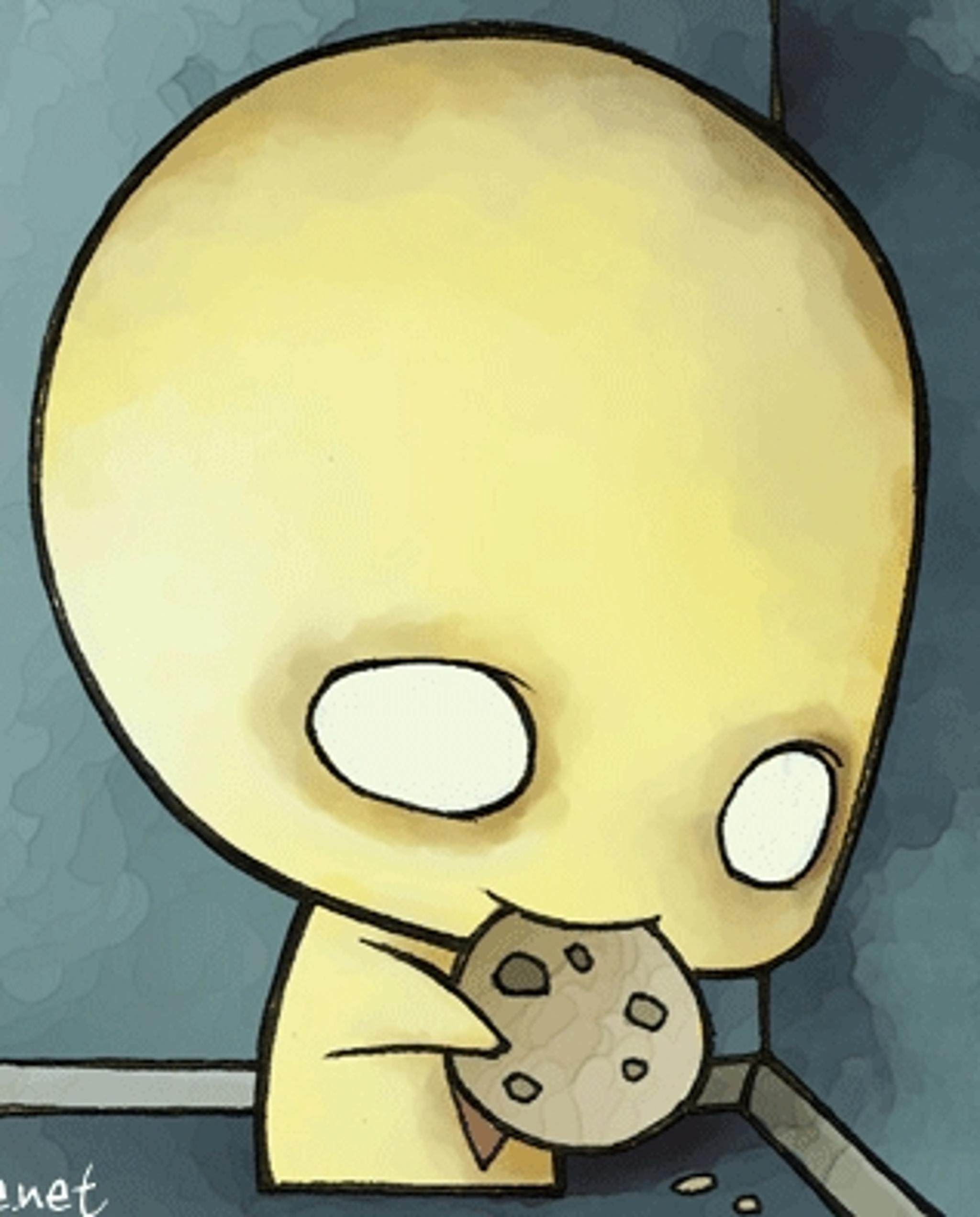 31 ponzicookie.jpeg