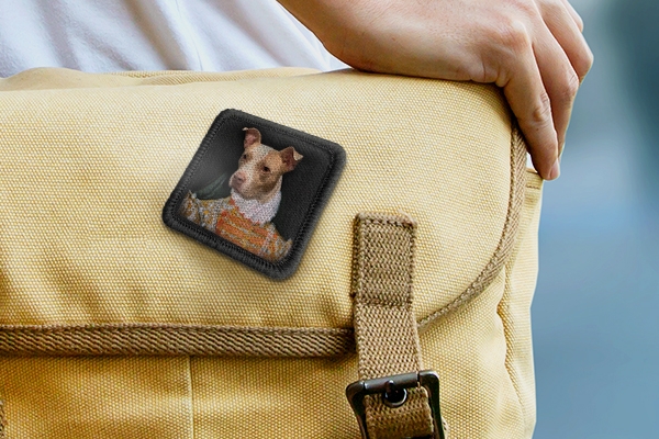 Show off your furry friends