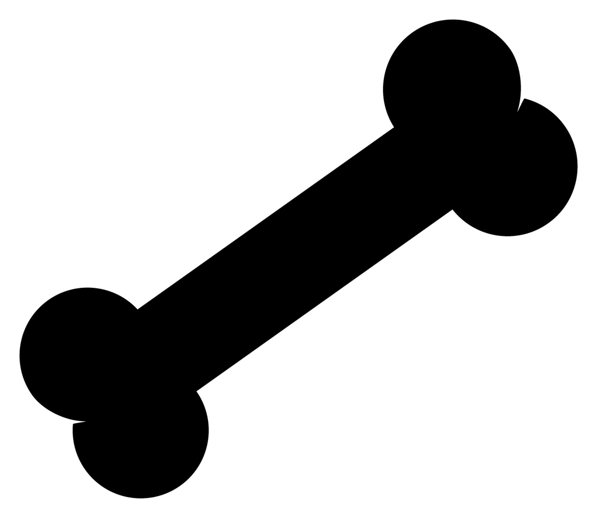 BONE
