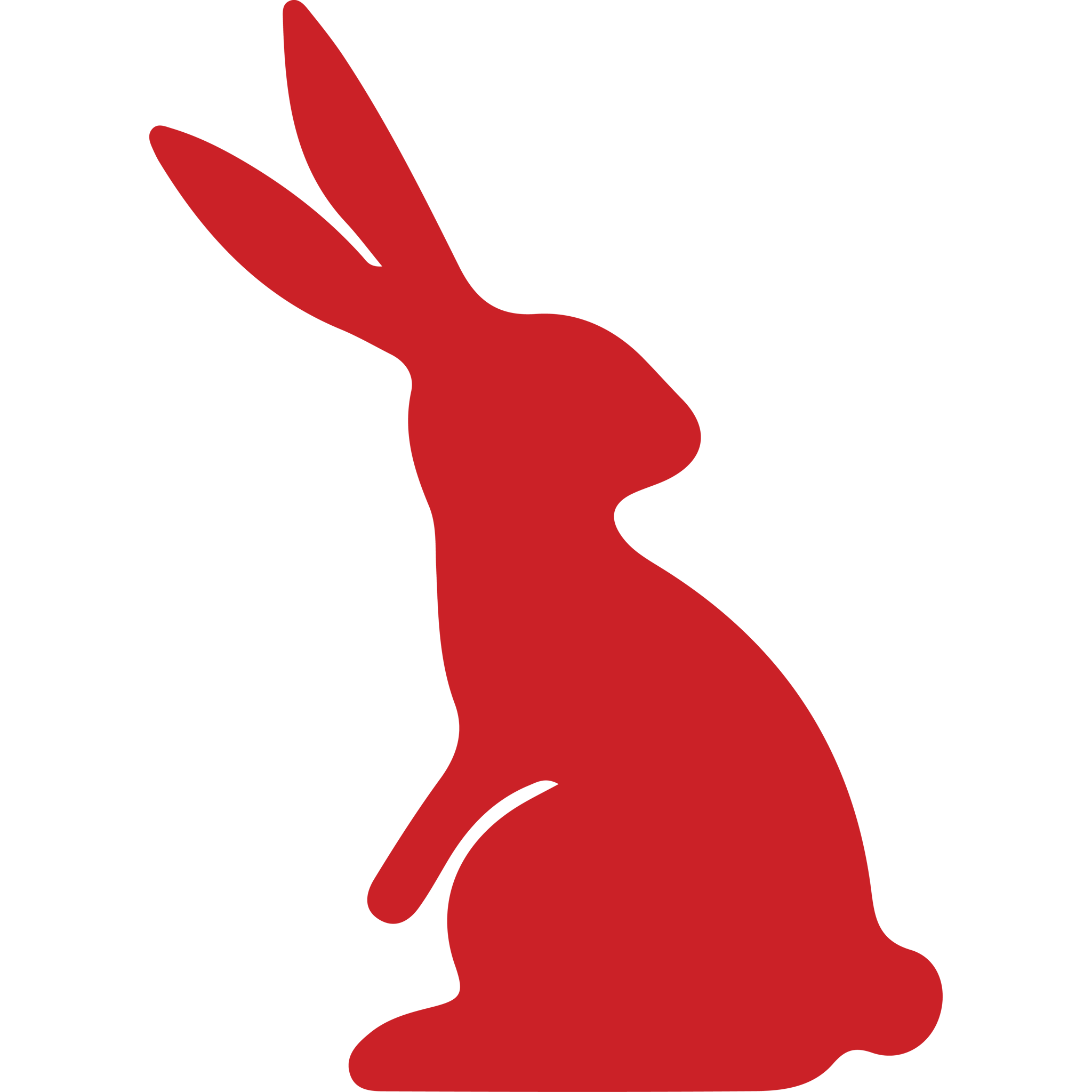 Rabbit Standing