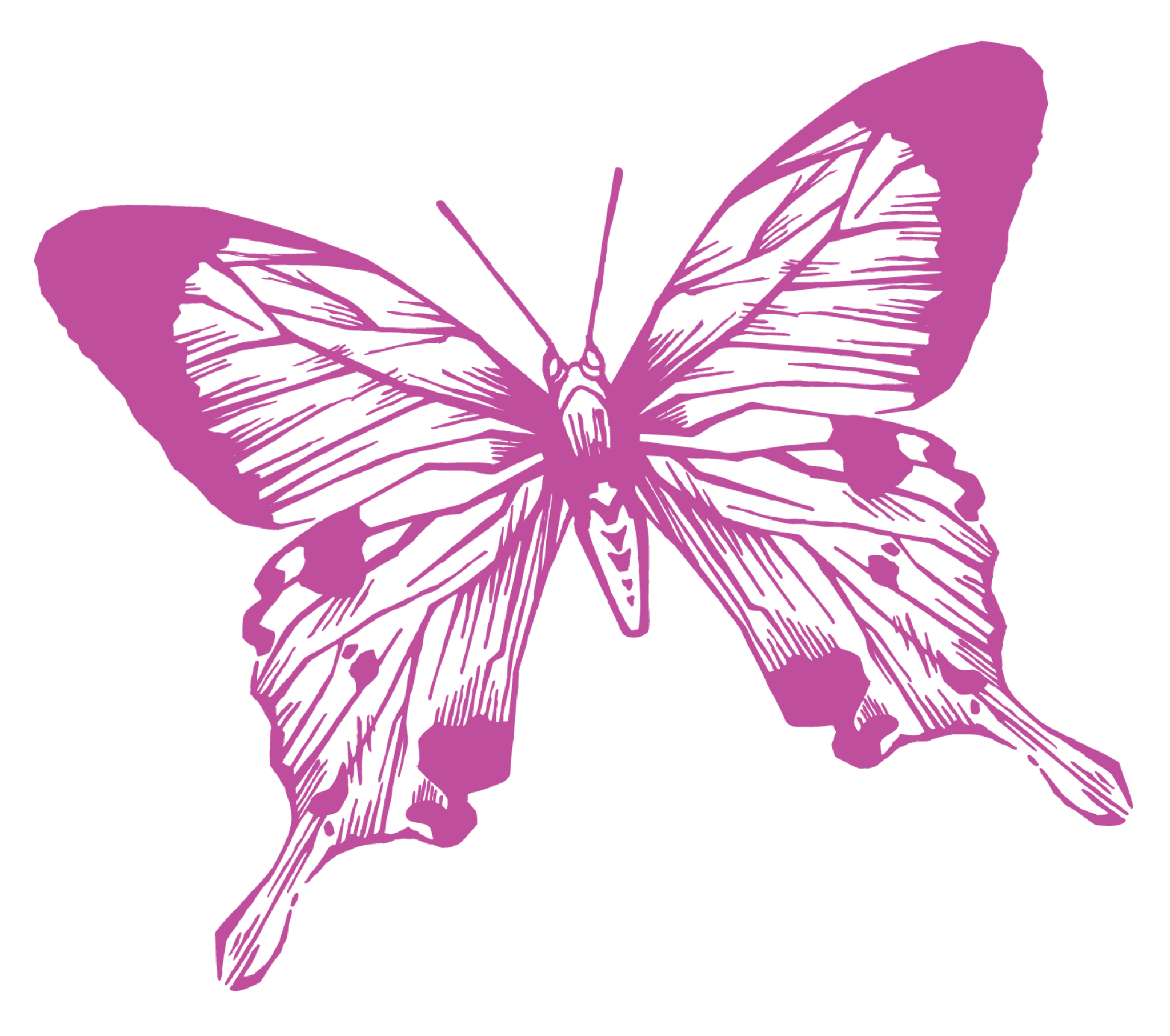 Purple Butterfly Art