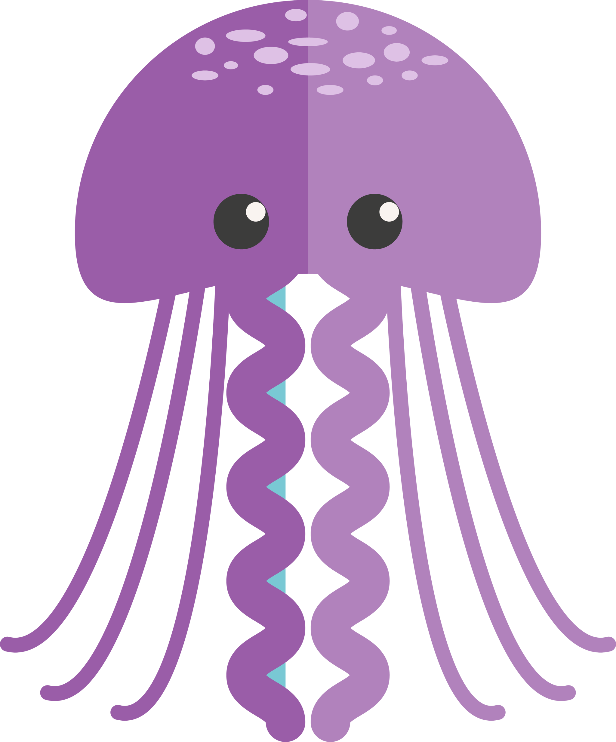 Jellyfish