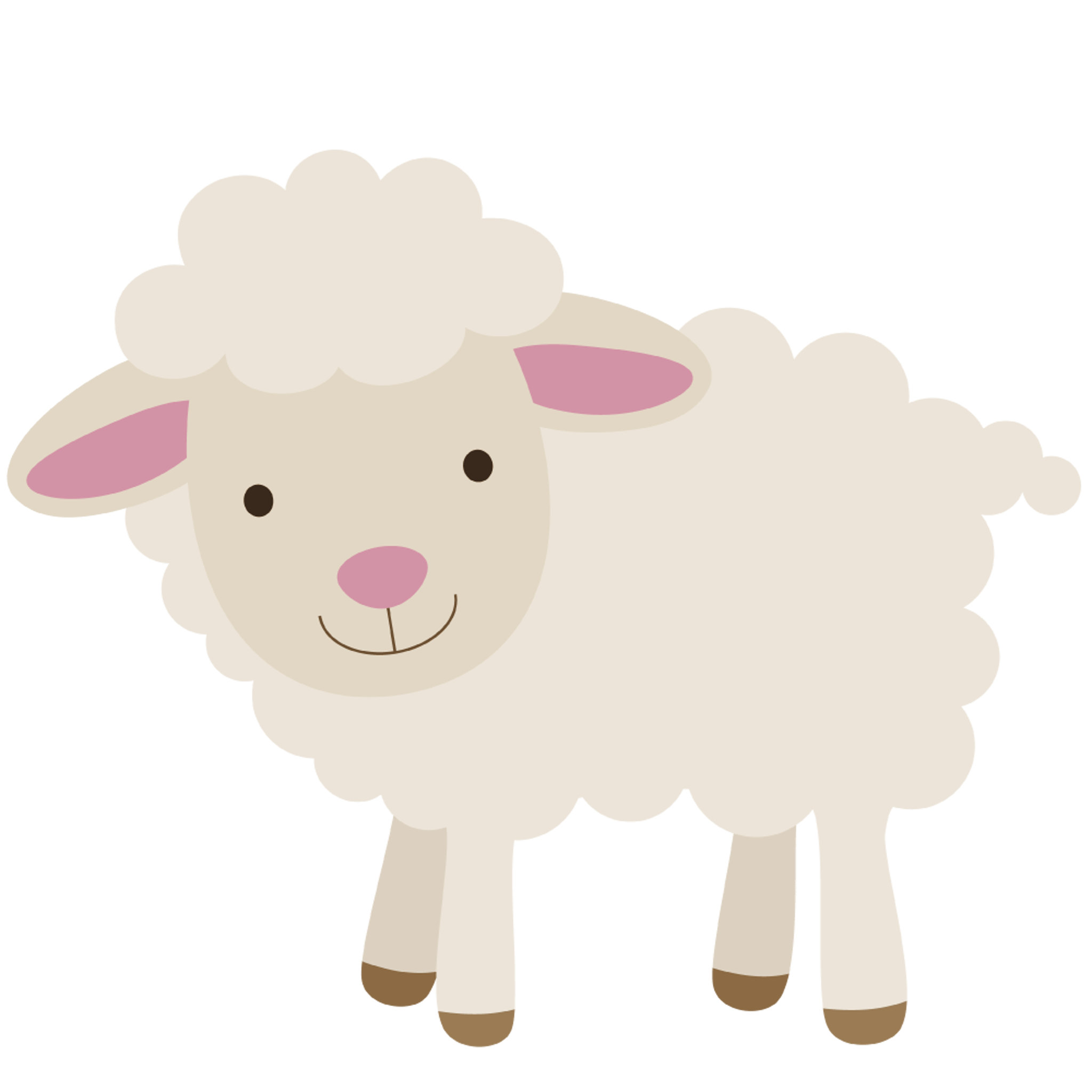 Cute Sheep