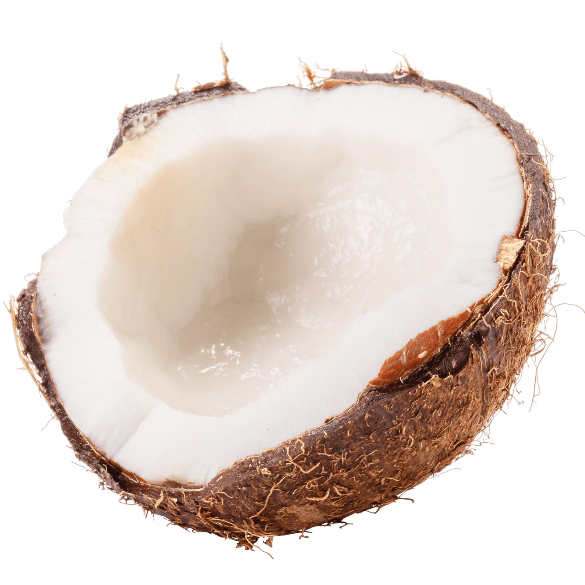 Coconut Opened