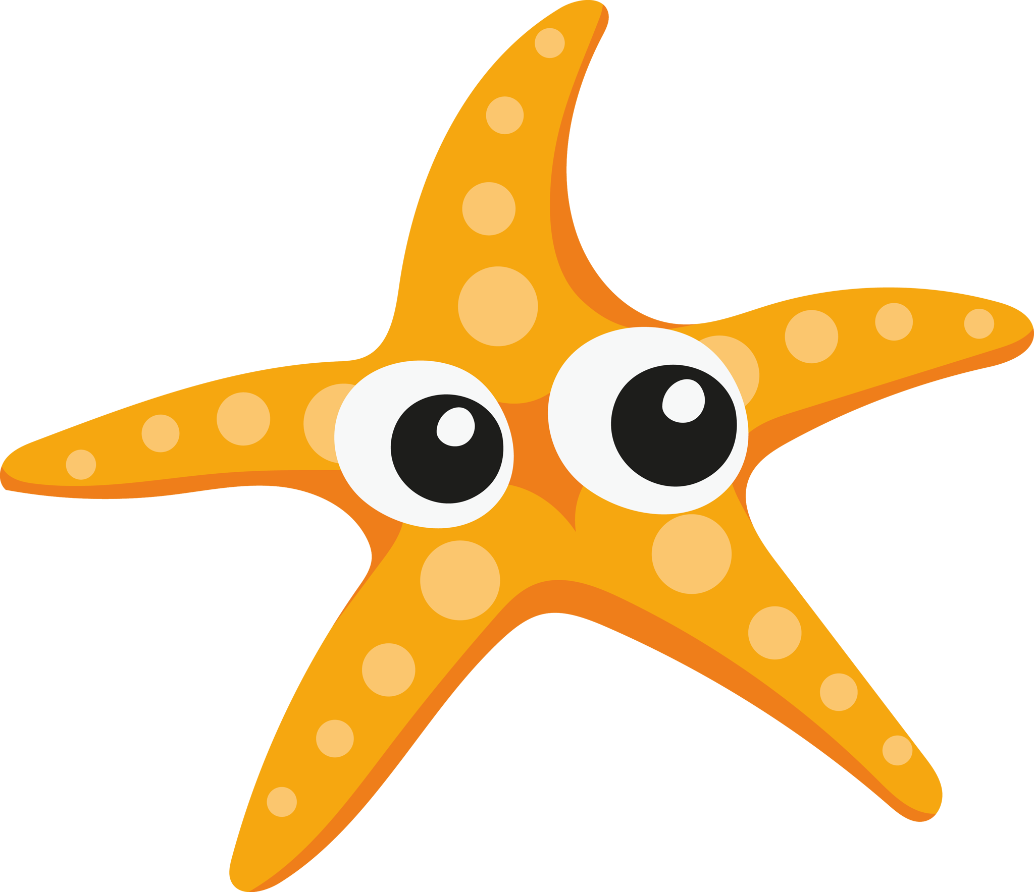 Cute Starfish