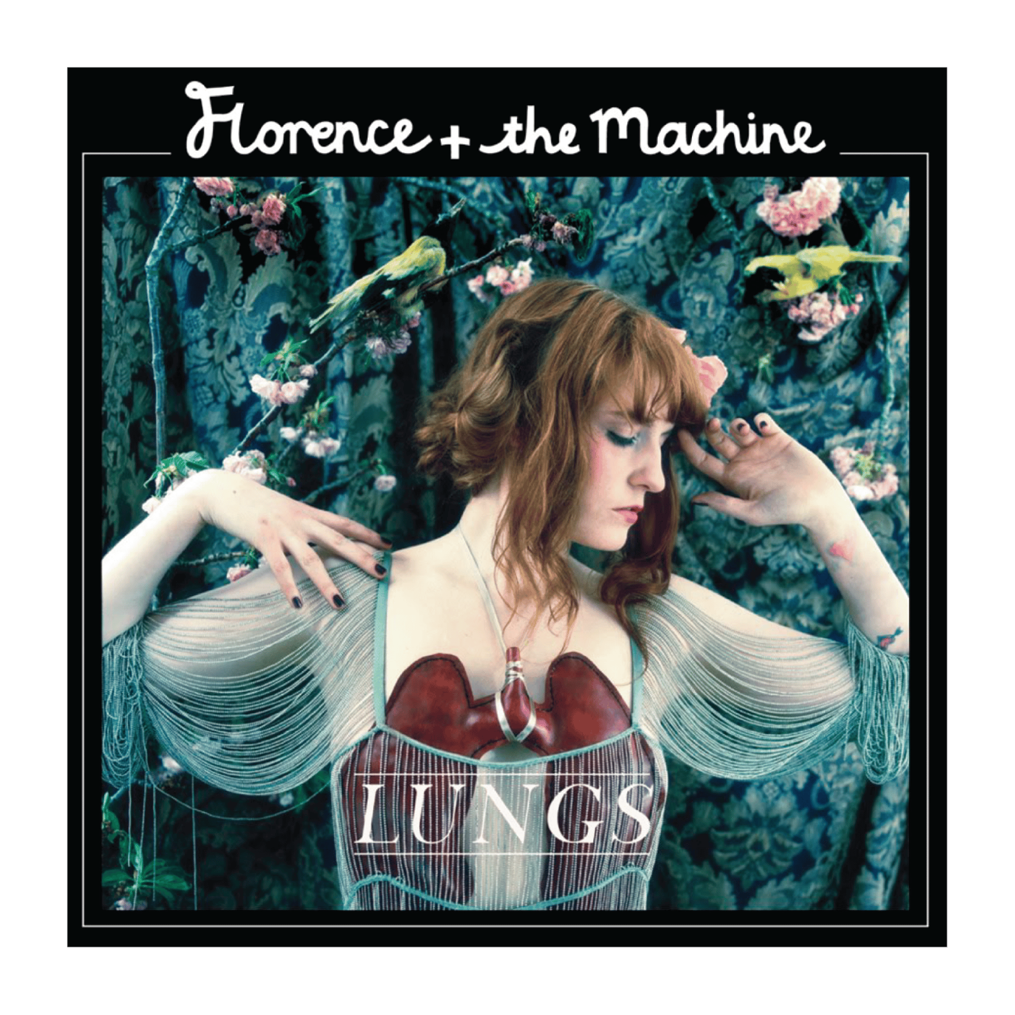 Lungs