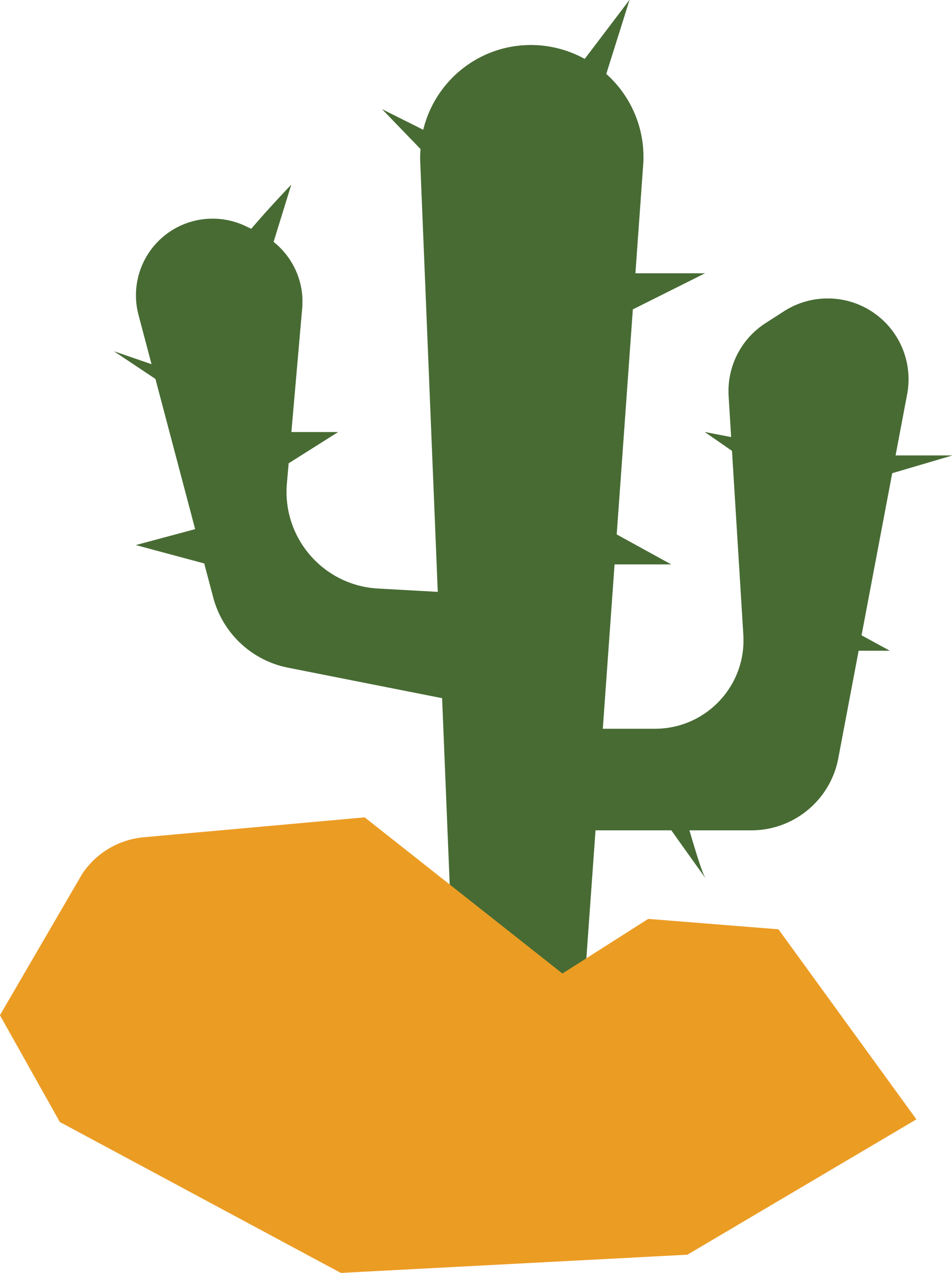 Cactus