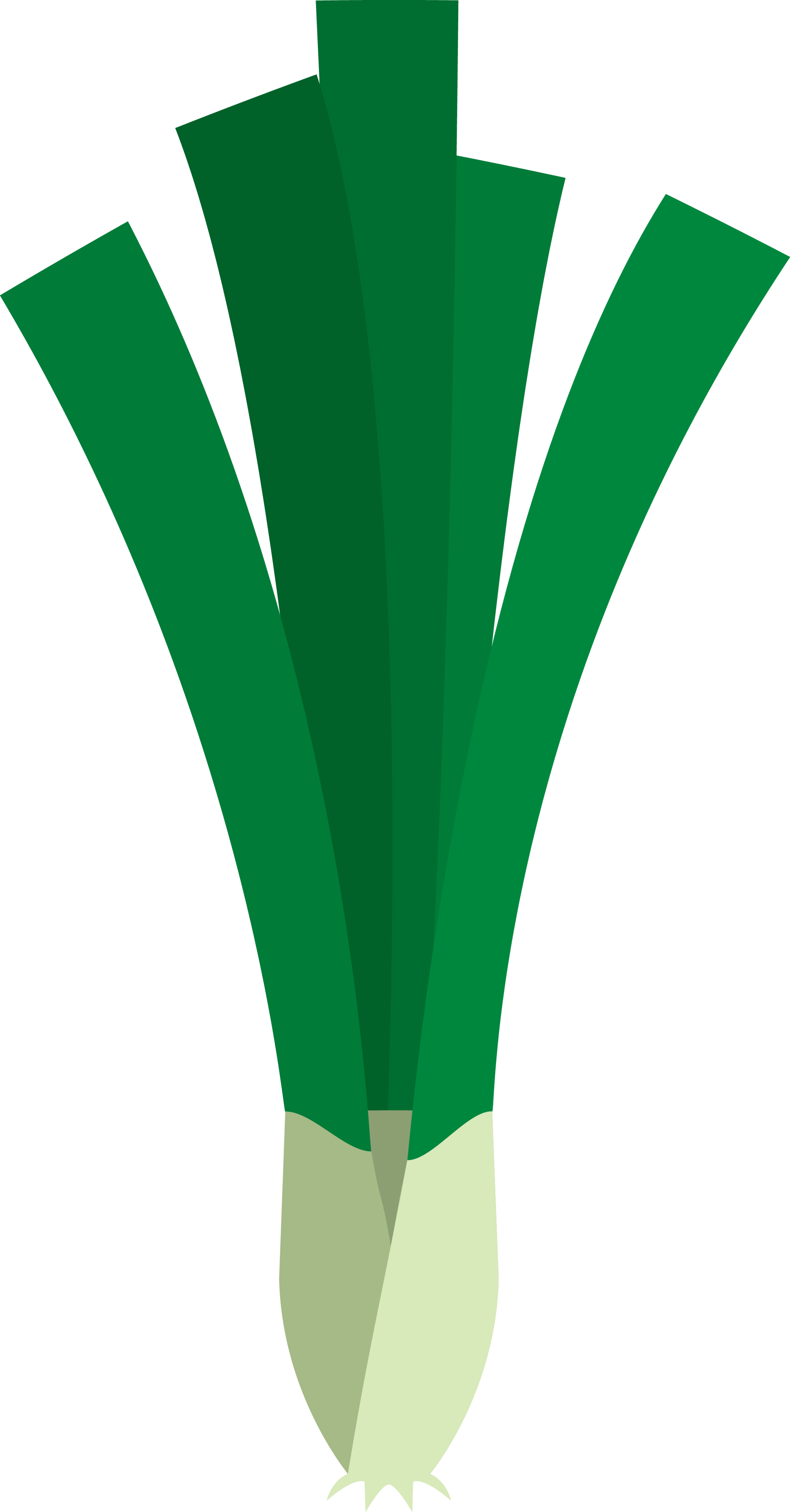 Spring Onions