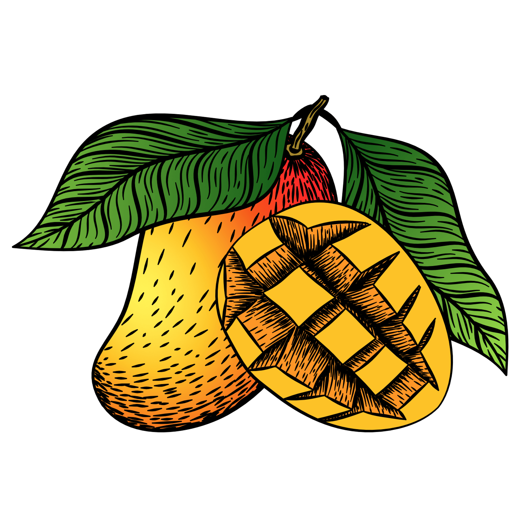 Mango Illustration