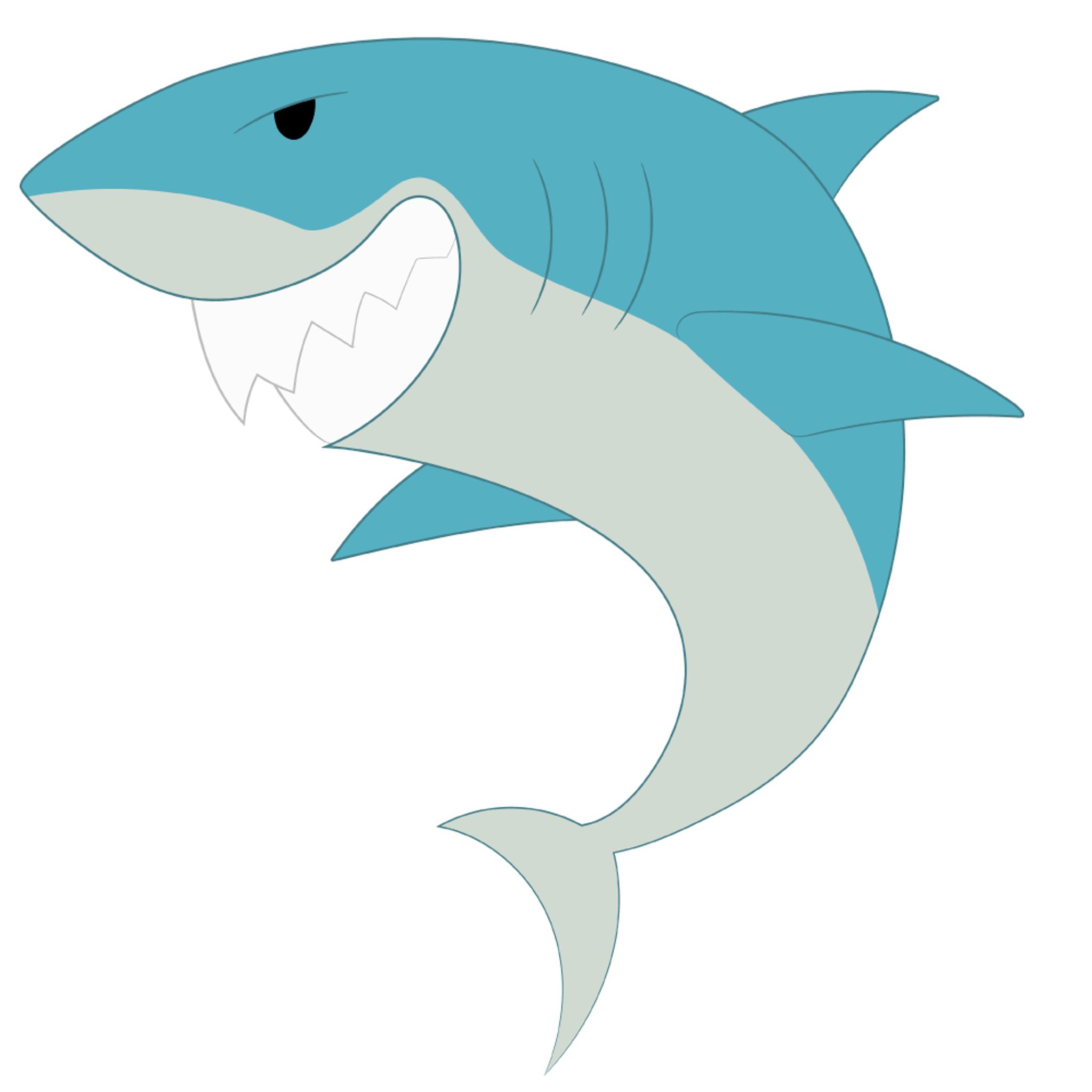 Shark 1