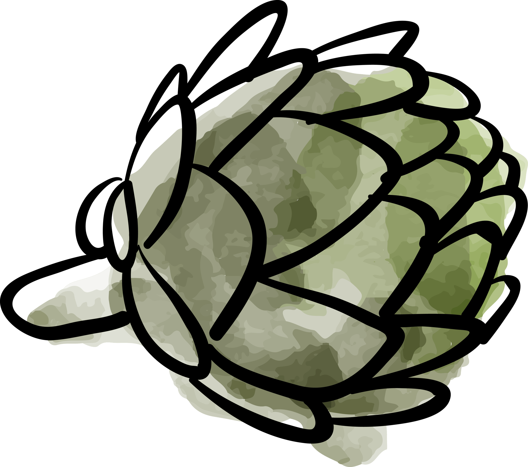 Artichoke