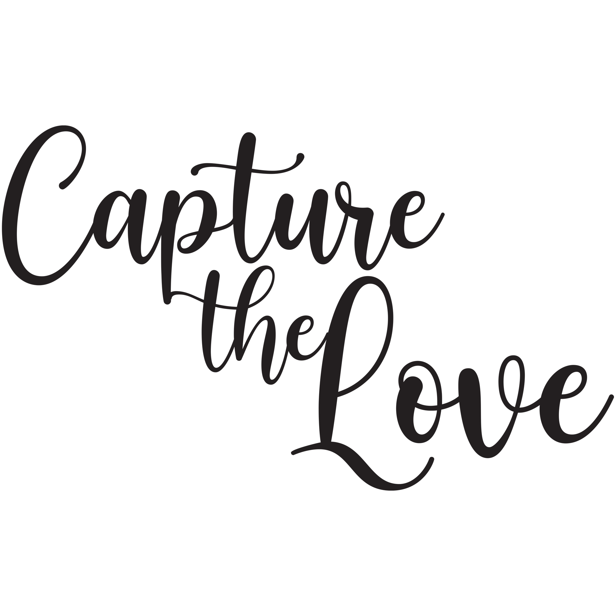 Capture the Love