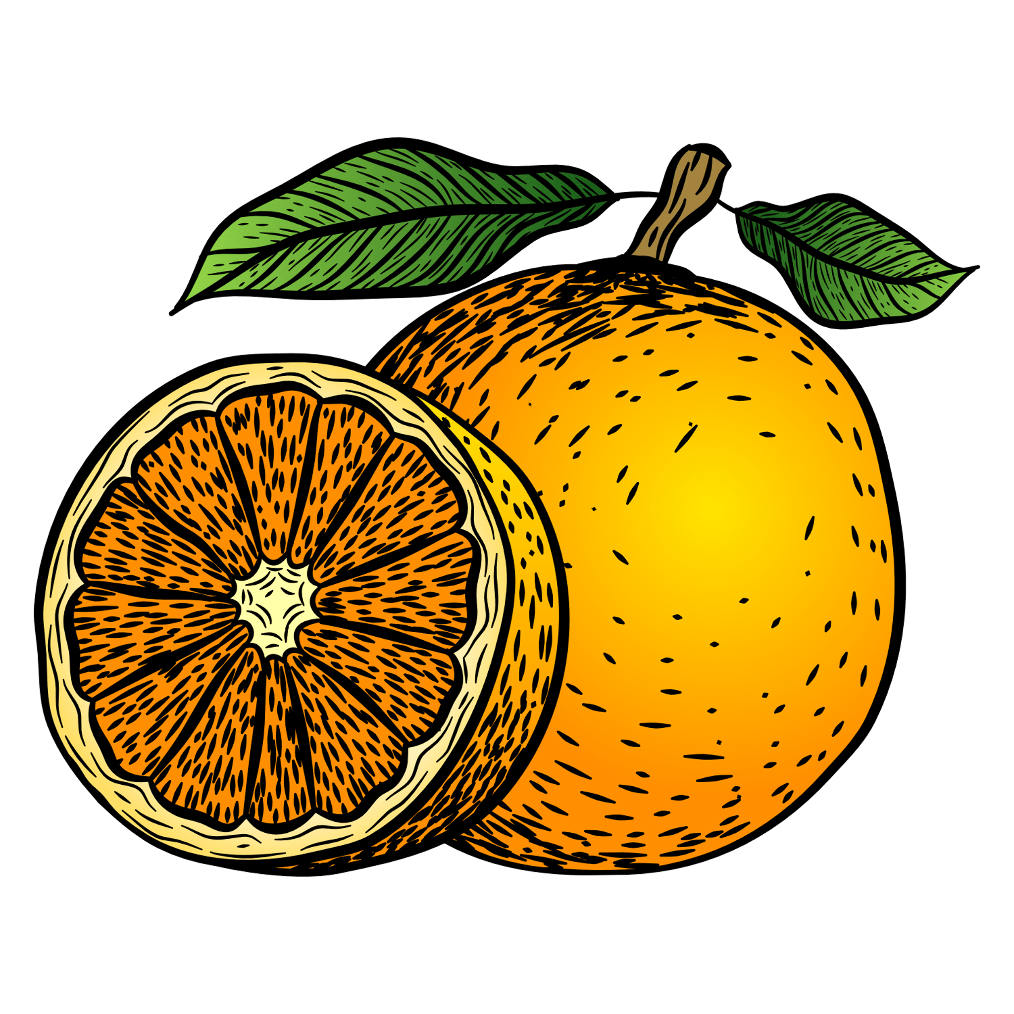 Orange Illustration