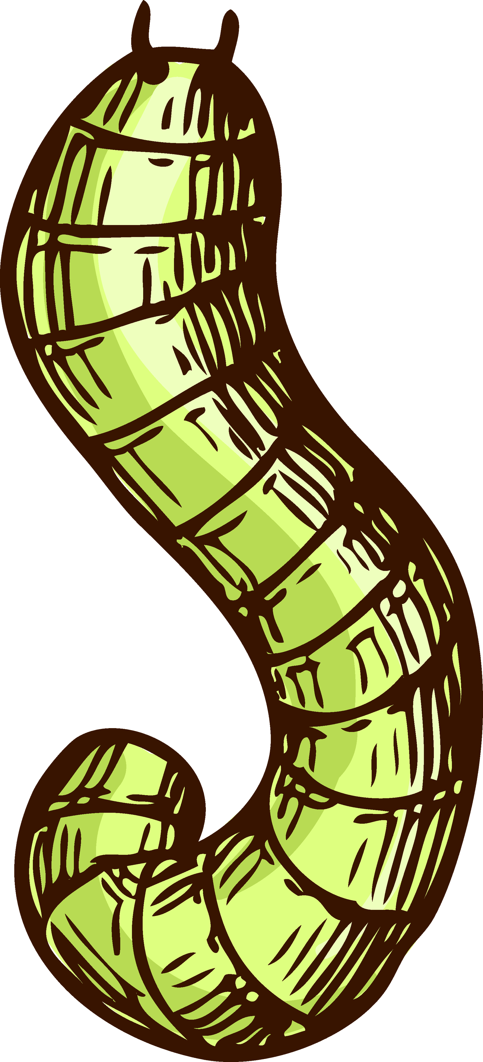 Caterpillar