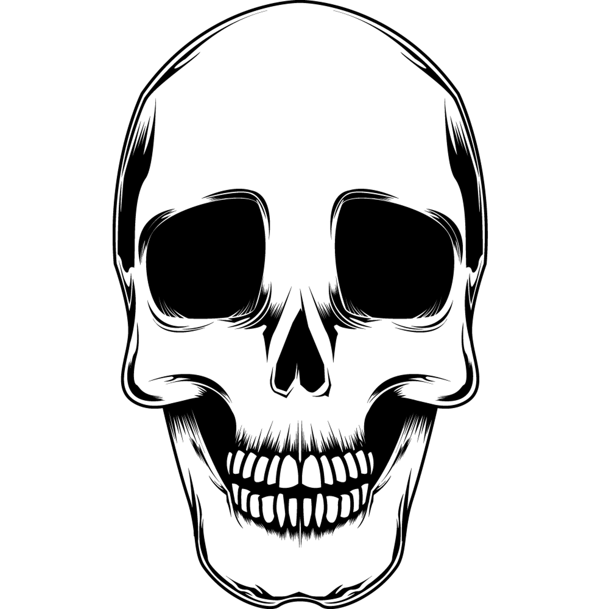 Skull Basic