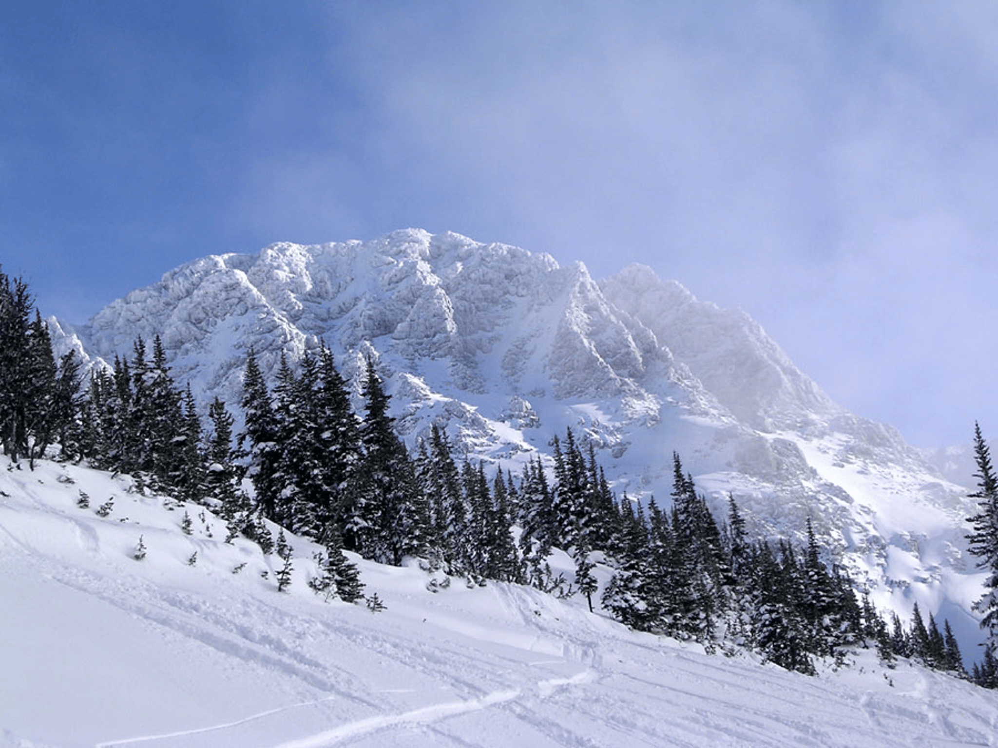 whistler1.jpg