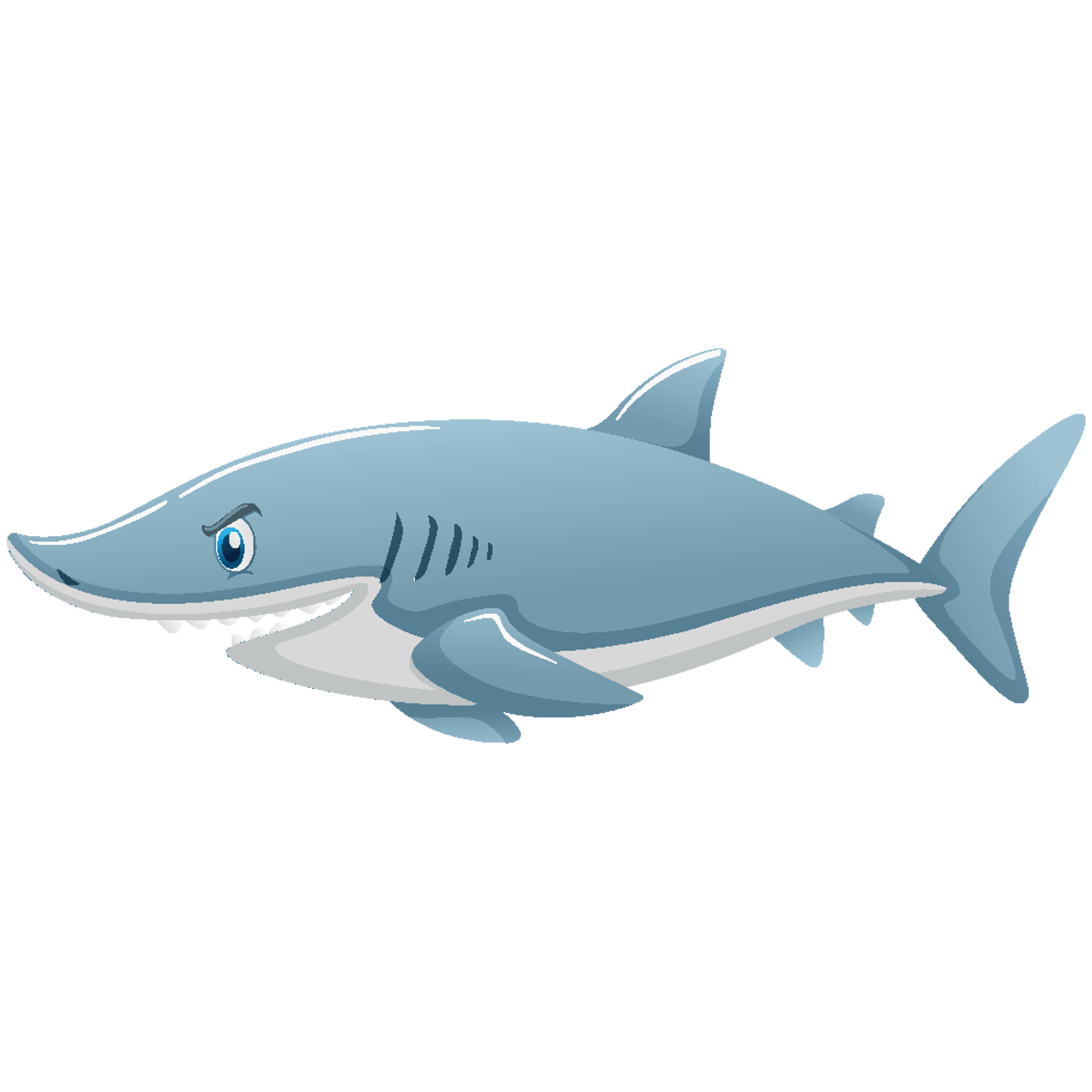 Cartoon Shark