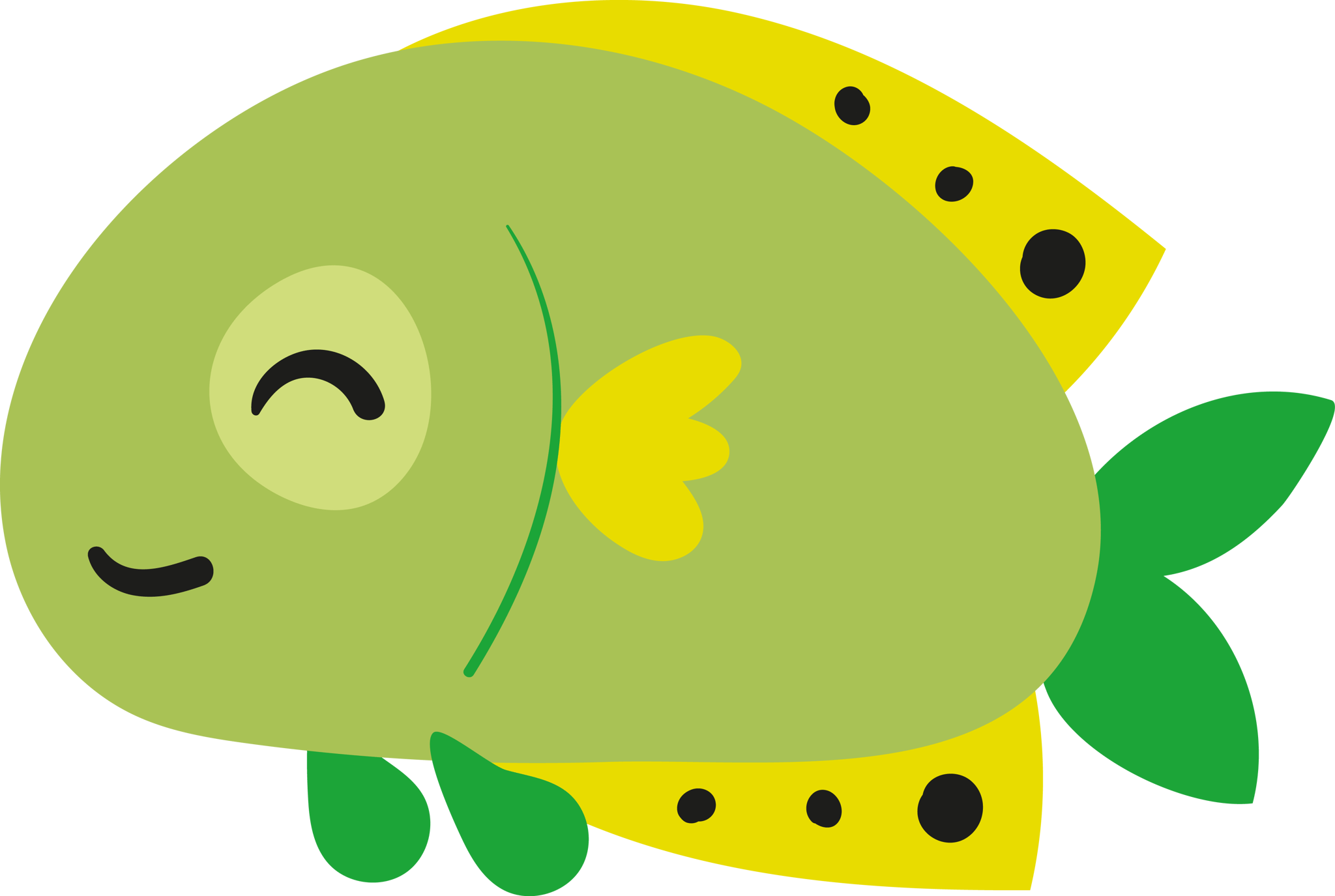 Fish 3