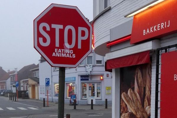 Stop eating animals sticker on a stop sign
