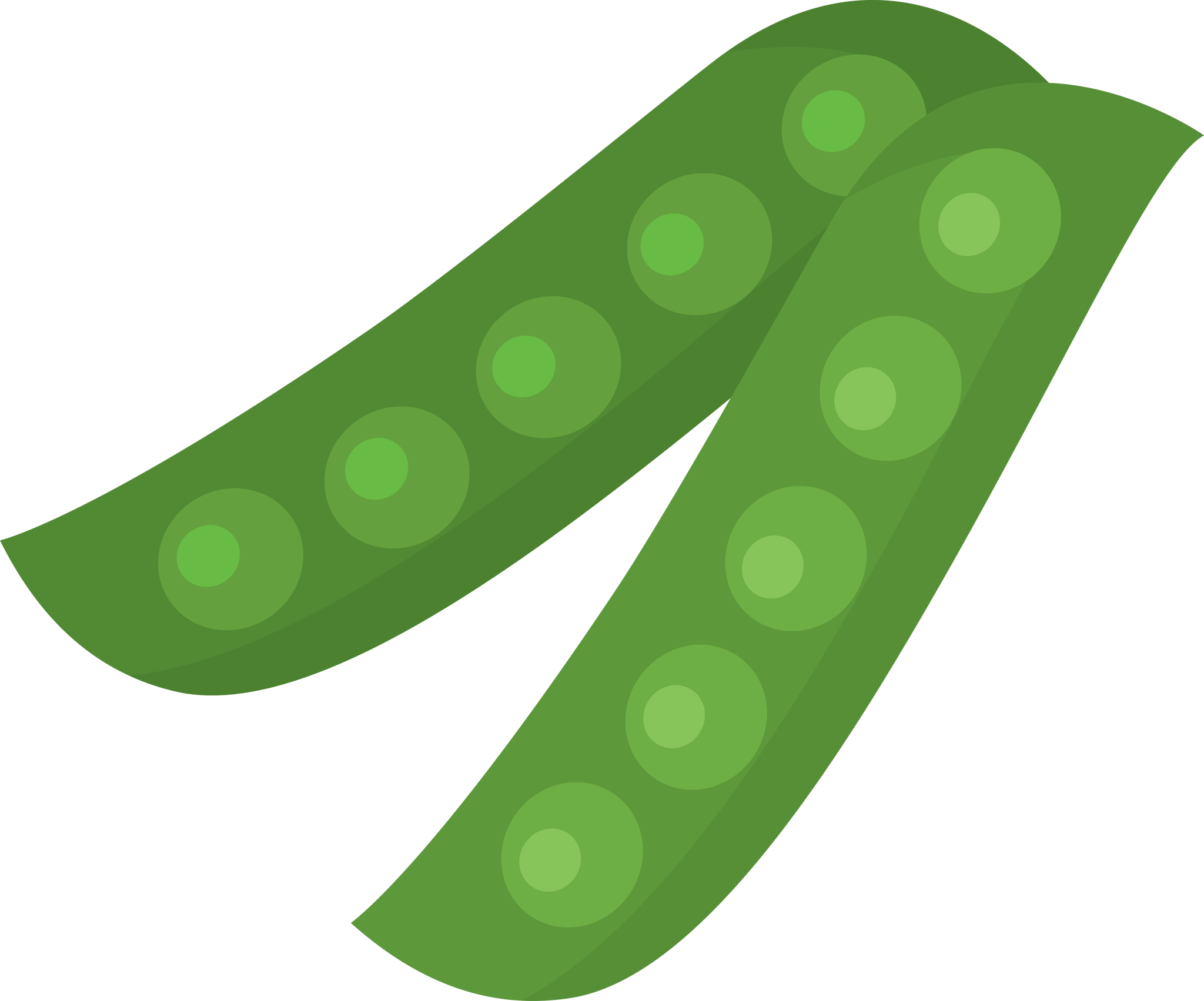 Beans
