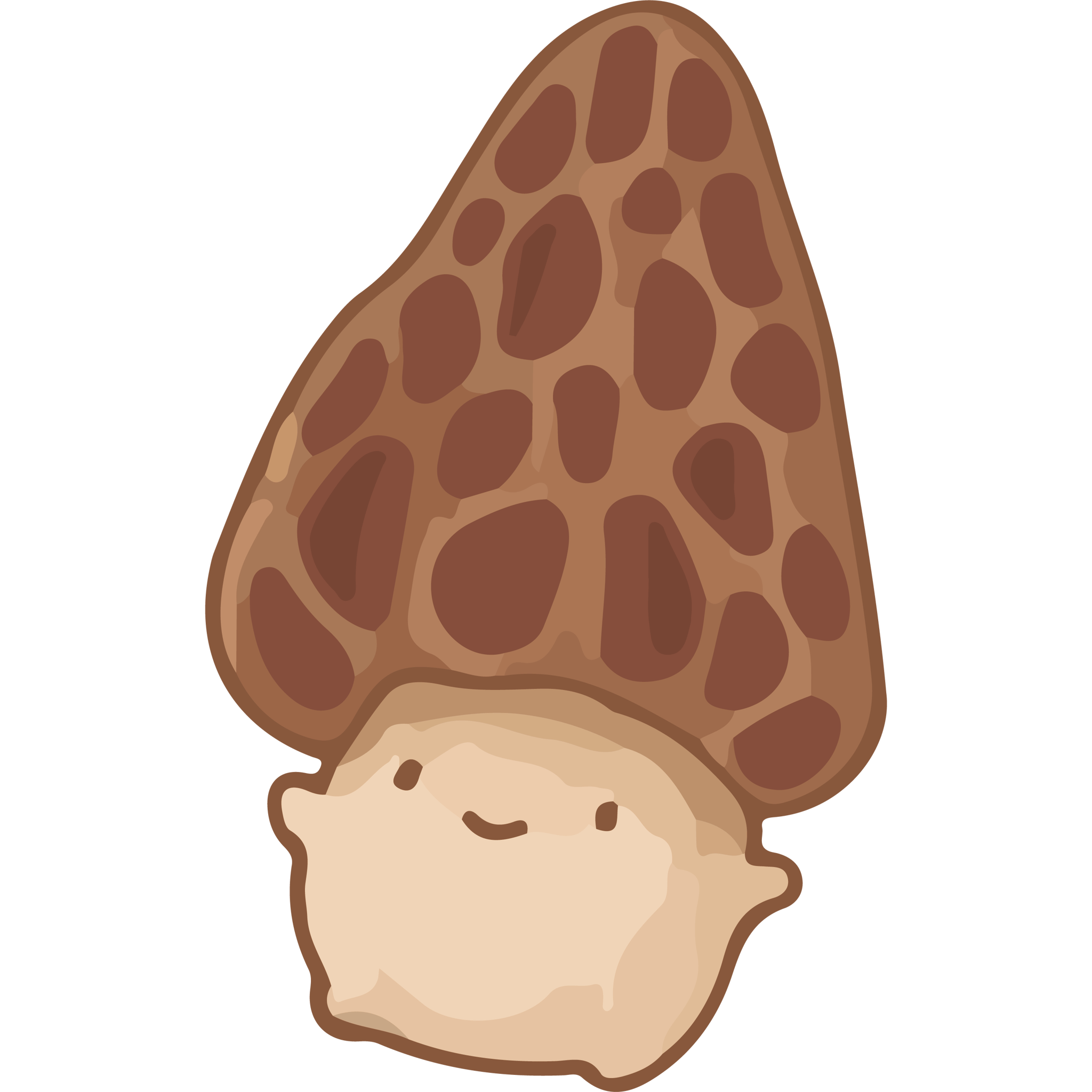 Kawaii Morel